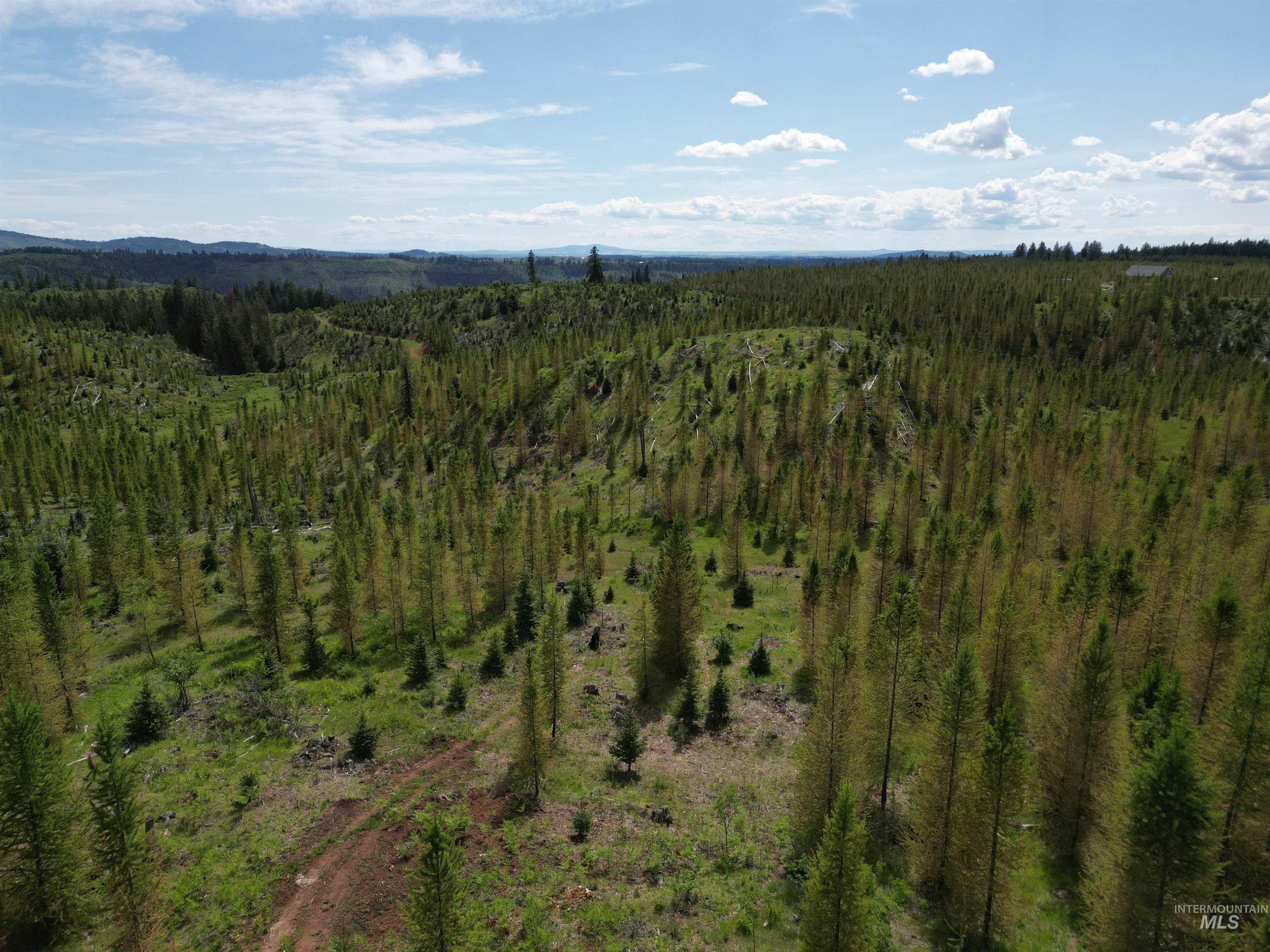 11970 Upper Fords Creek Road, Orofino, Idaho 83544, Land For Sale, Price $329,000, 98987532