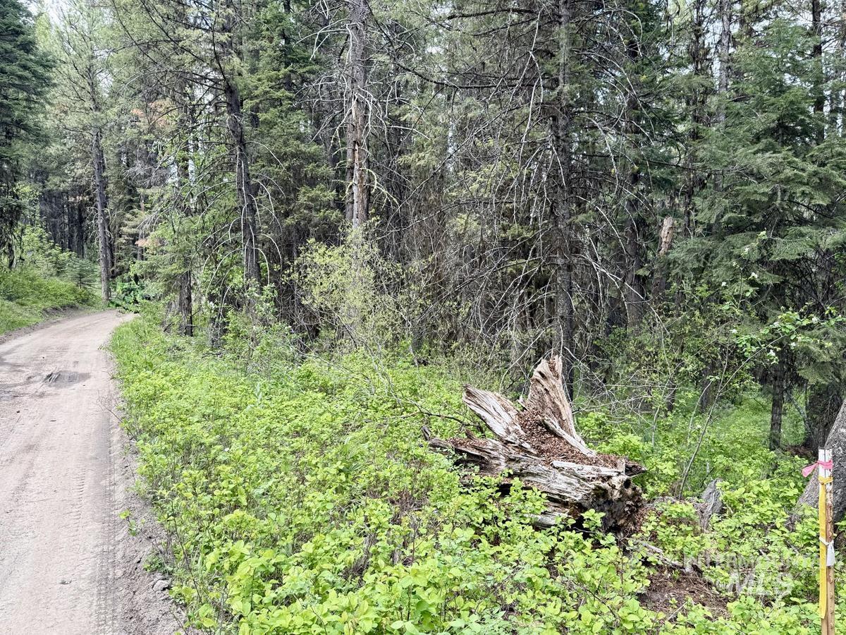 518 Susan Road, Cascade, Idaho 83611, Land For Sale, Price $99,500,MLS 98987533