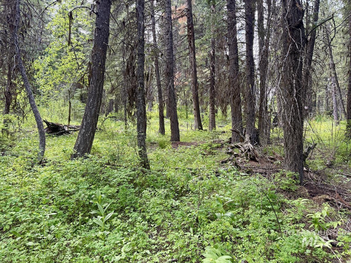518 Susan Road, Cascade, Idaho 83611, Land For Sale, Price $99,500,MLS 98987533