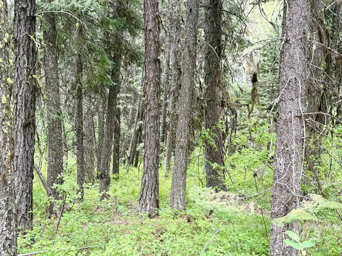 518 Susan Road, Cascade, Idaho 83611, Land For Sale, Price $99,500,MLS 98987533