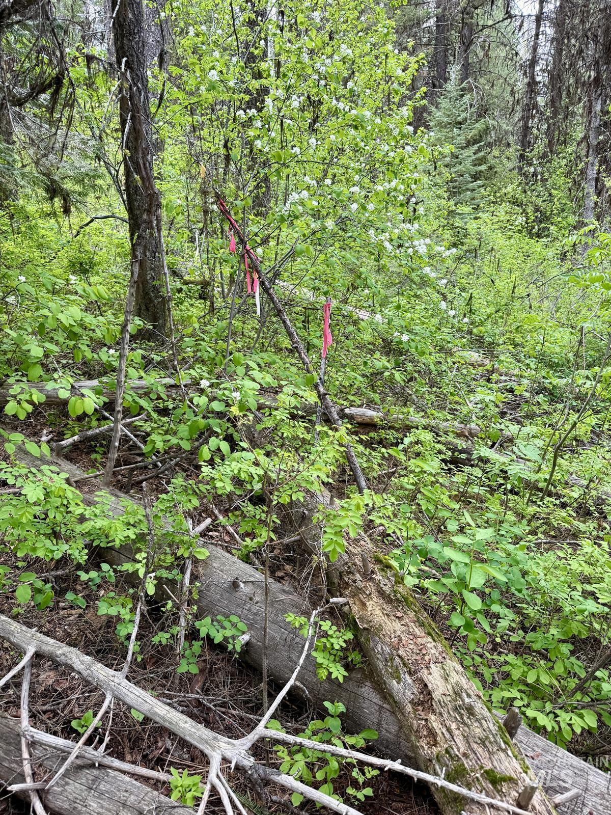 518 Susan Road, Cascade, Idaho 83611, Land For Sale, Price $99,500,MLS 98987533
