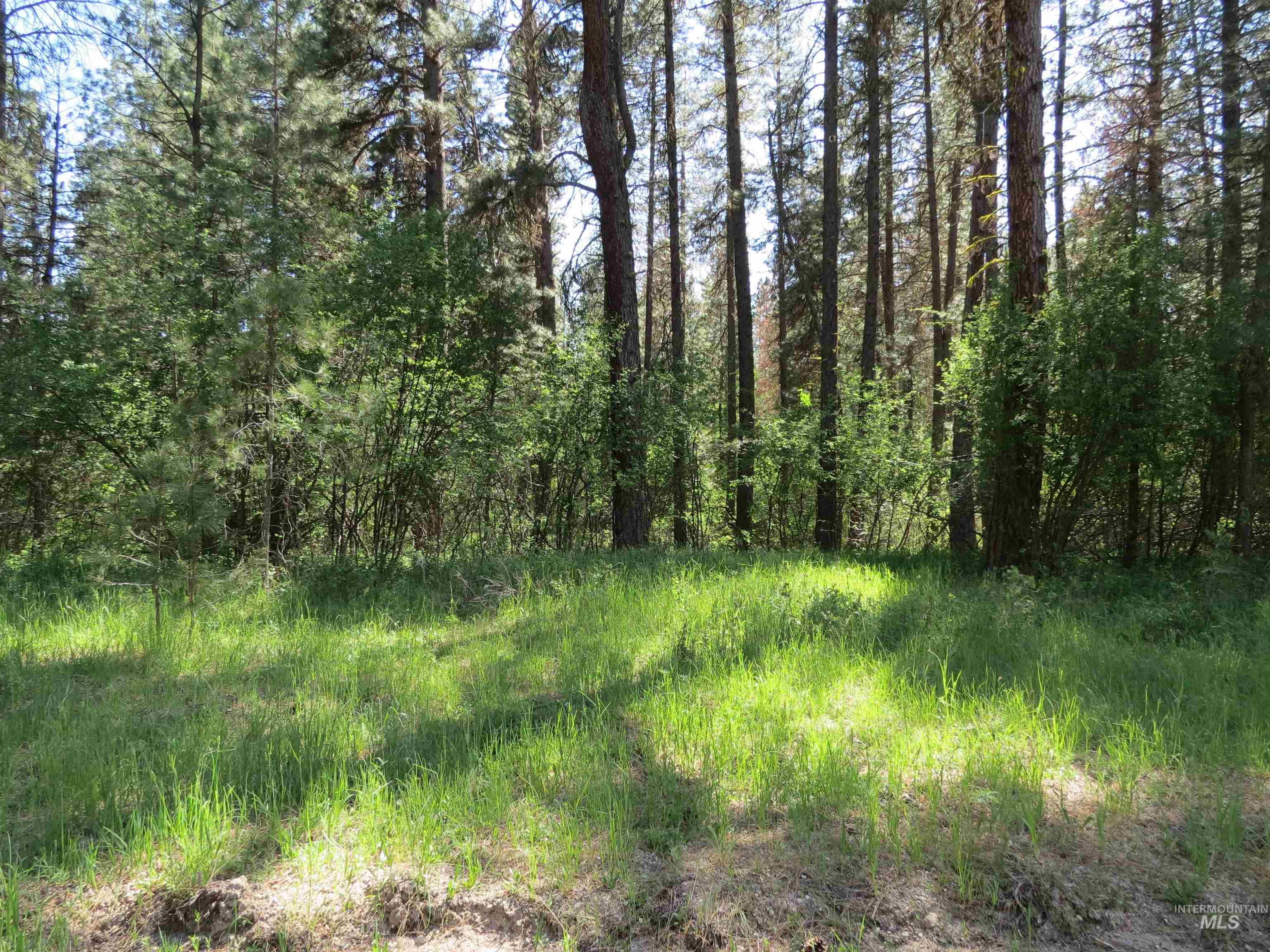TBD Casey's Rd., Garden Valley, Idaho 83622, Land For Sale, Price $125,000,MLS 98987539