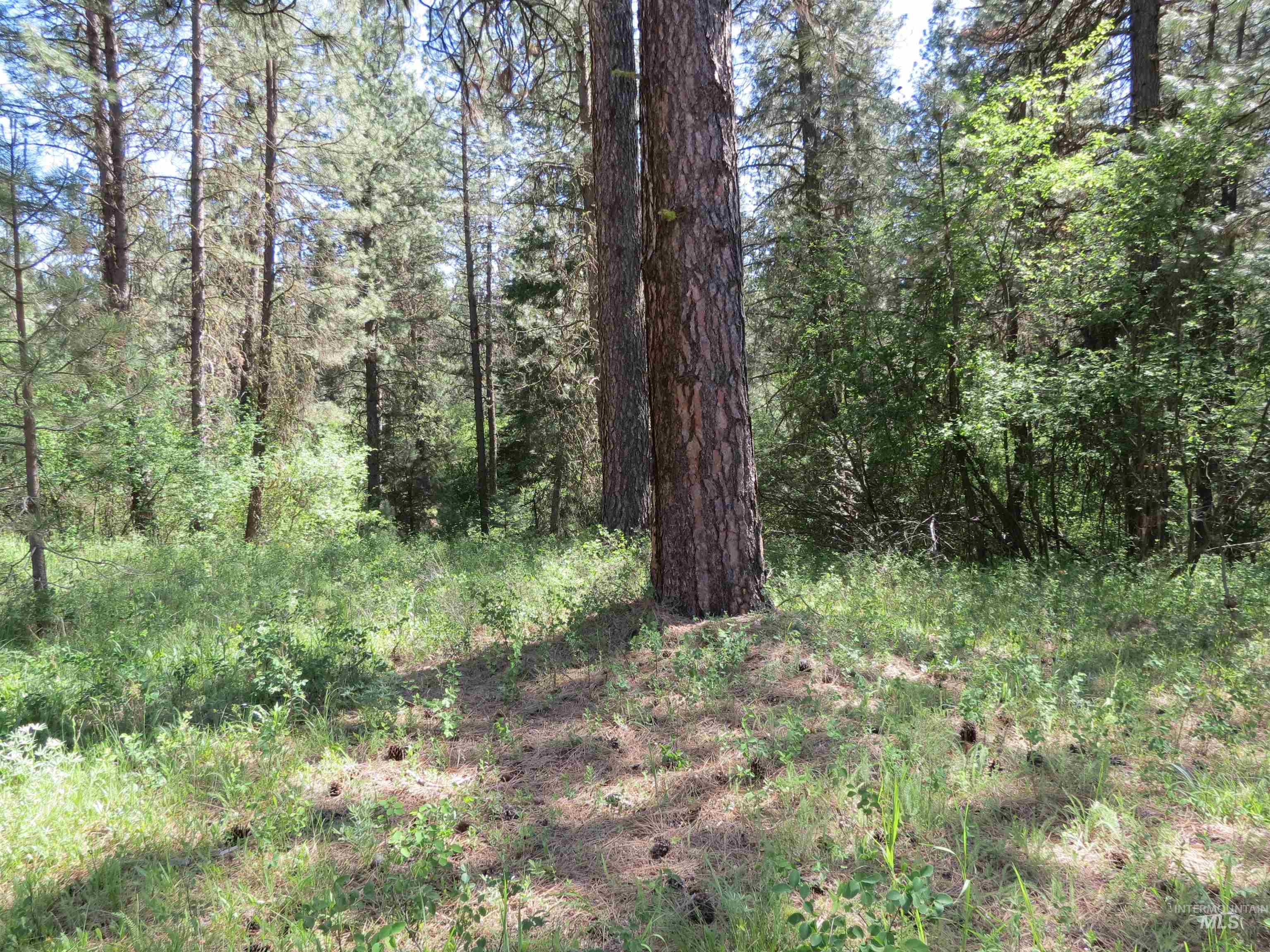TBD Casey's Rd., Garden Valley, Idaho 83622, Land For Sale, Price $125,000,MLS 98987539