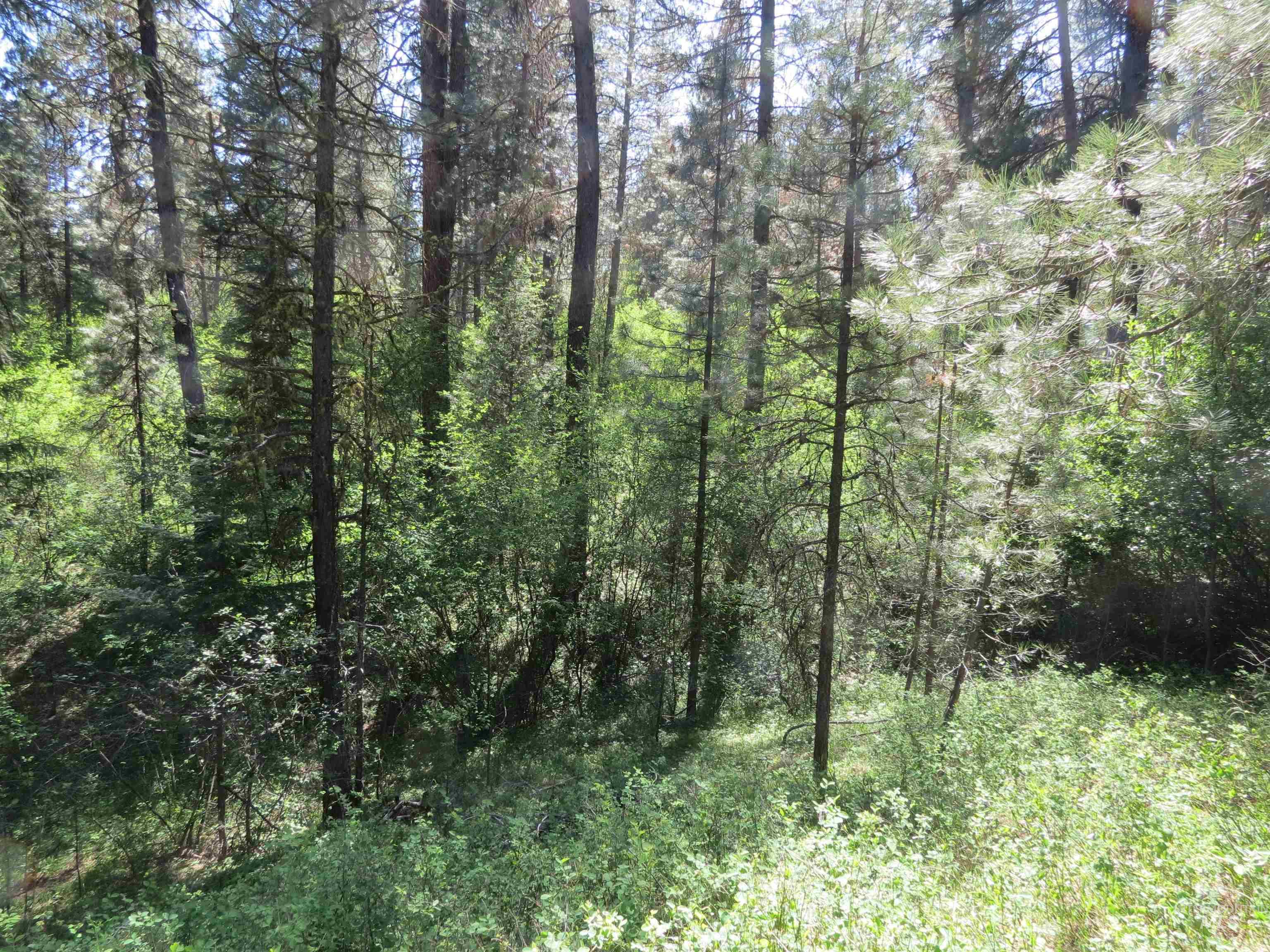 TBD Casey's Rd., Garden Valley, Idaho 83622, Land For Sale, Price $125,000,MLS 98987539