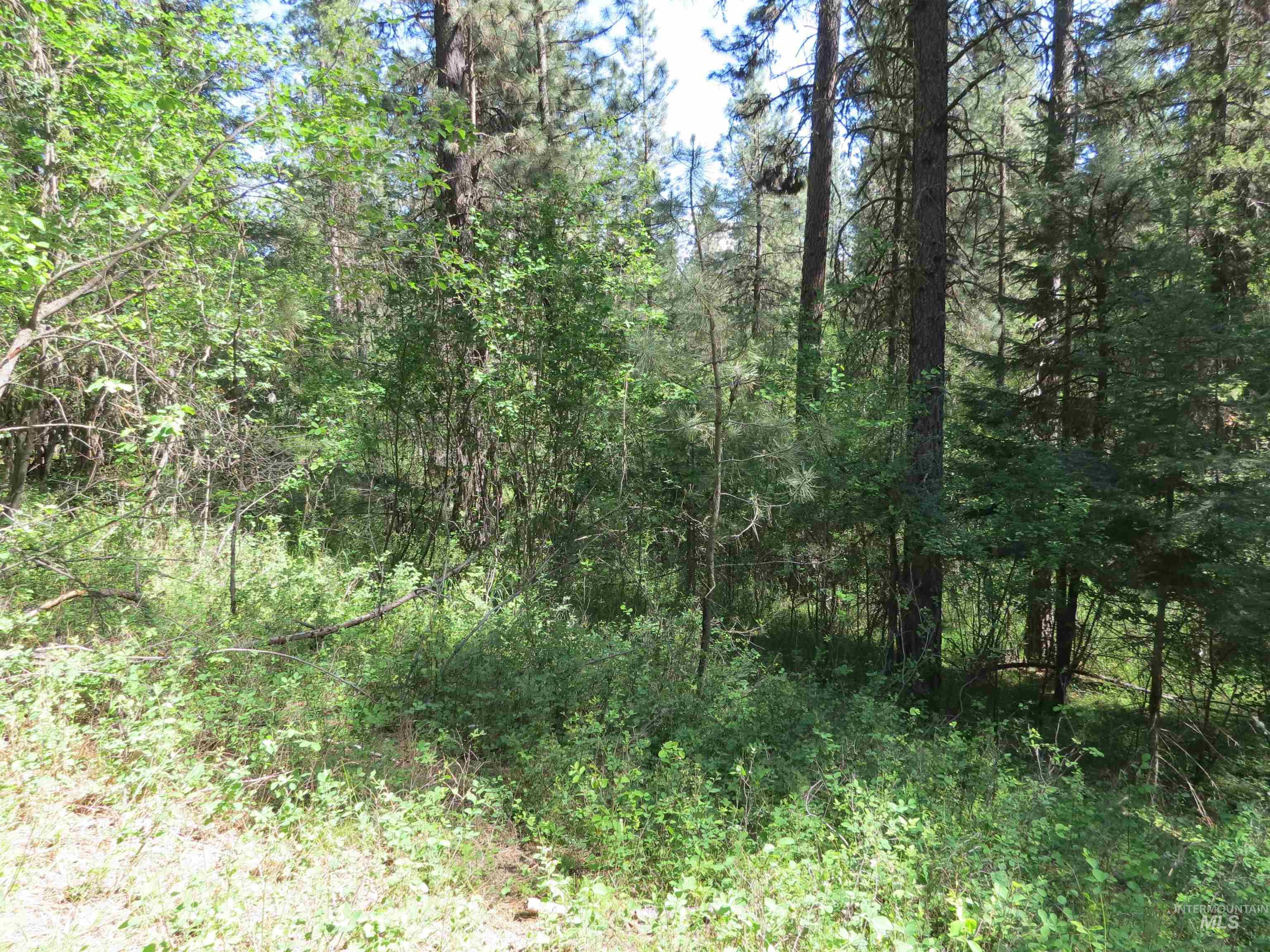TBD Casey's Rd., Garden Valley, Idaho 83622, Land For Sale, Price $125,000,MLS 98987539