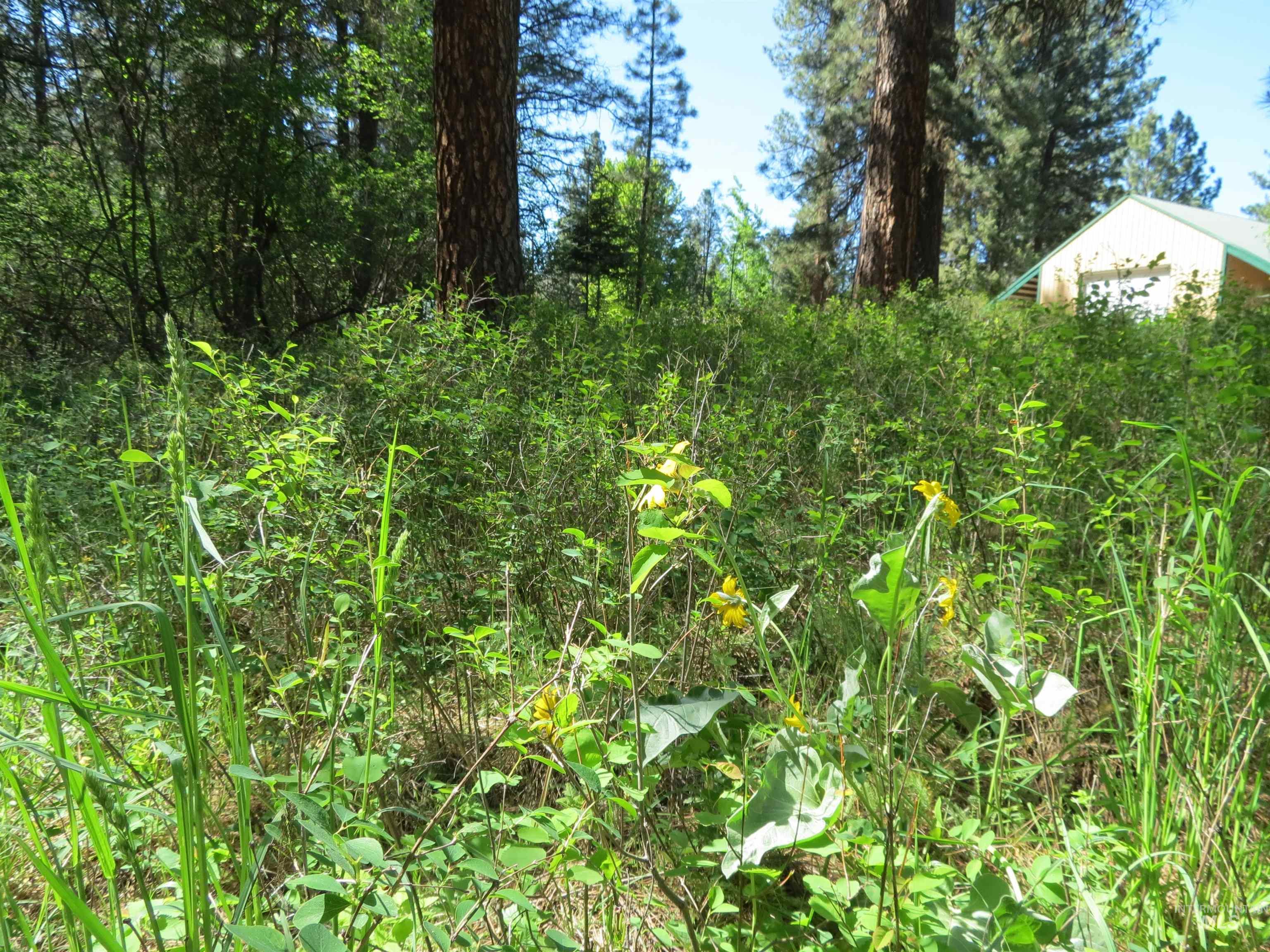 TBD Casey's Rd., Garden Valley, Idaho 83622, Land For Sale, Price $125,000,MLS 98987539