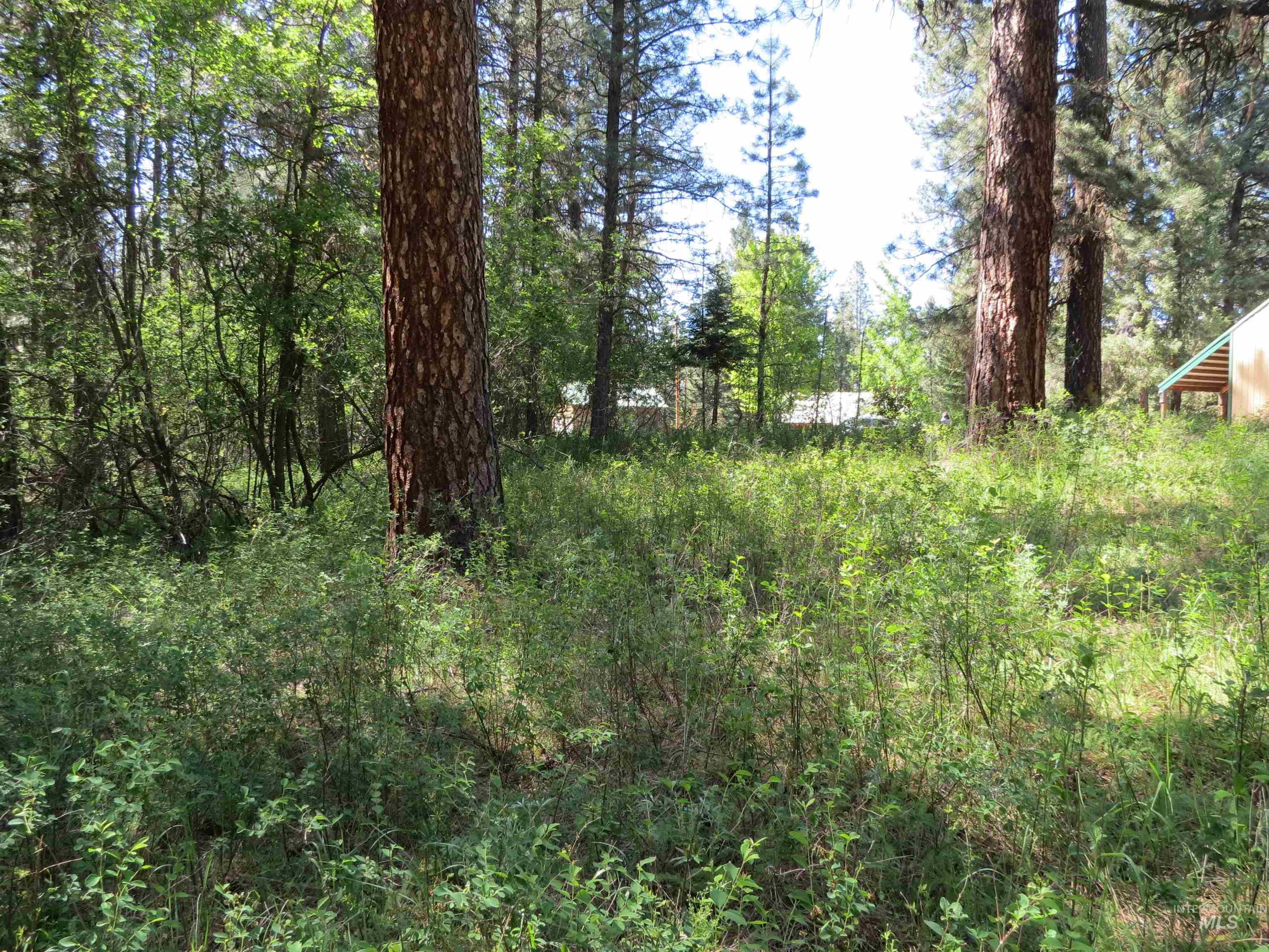 TBD Casey's Rd., Garden Valley, Idaho 83622, Land For Sale, Price $125,000,MLS 98987539