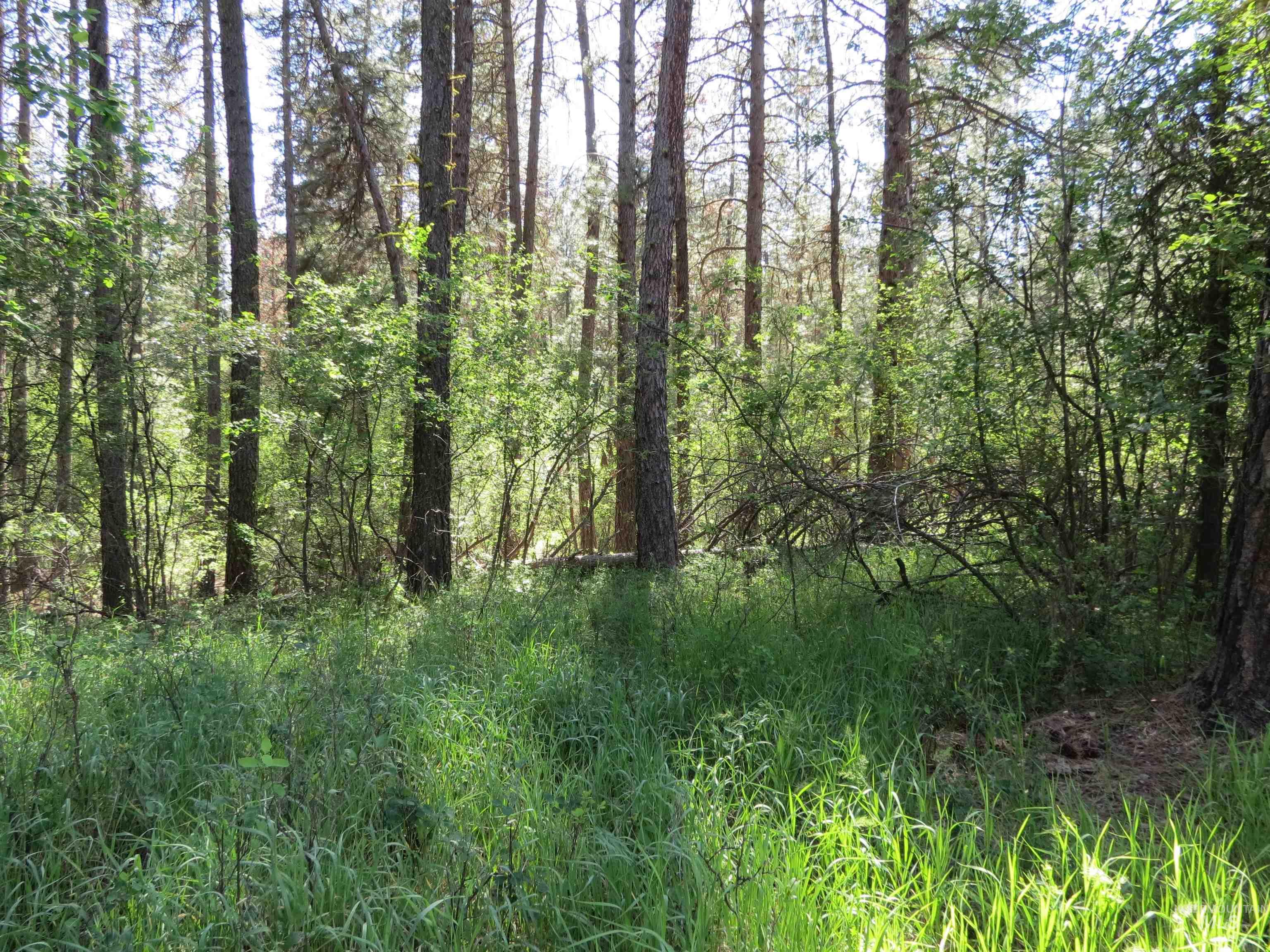 TBD Casey's Rd., Garden Valley, Idaho 83622, Land For Sale, Price $125,000,MLS 98987539
