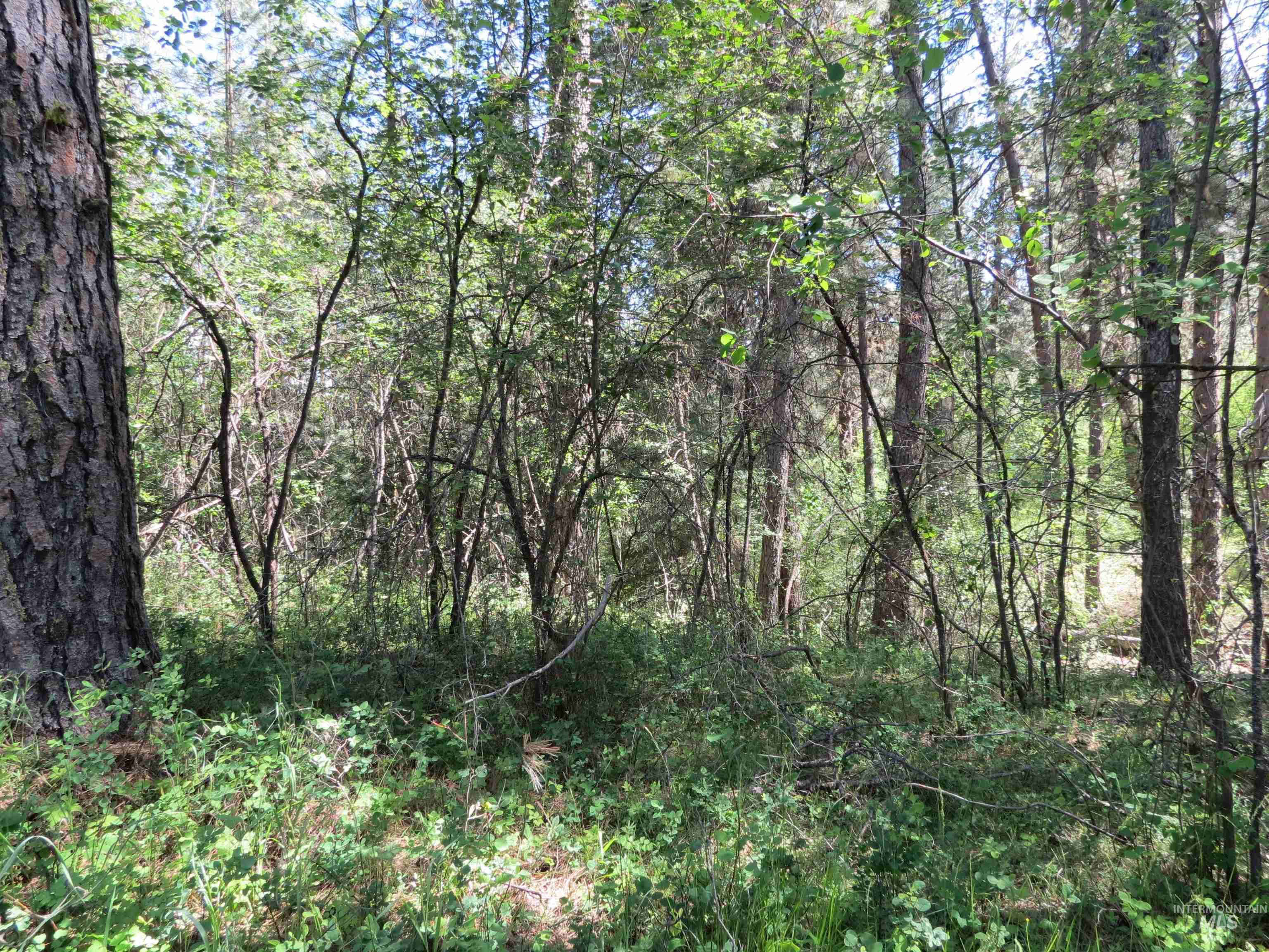 TBD Casey's Rd., Garden Valley, Idaho 83622, Land For Sale, Price $125,000,MLS 98987539