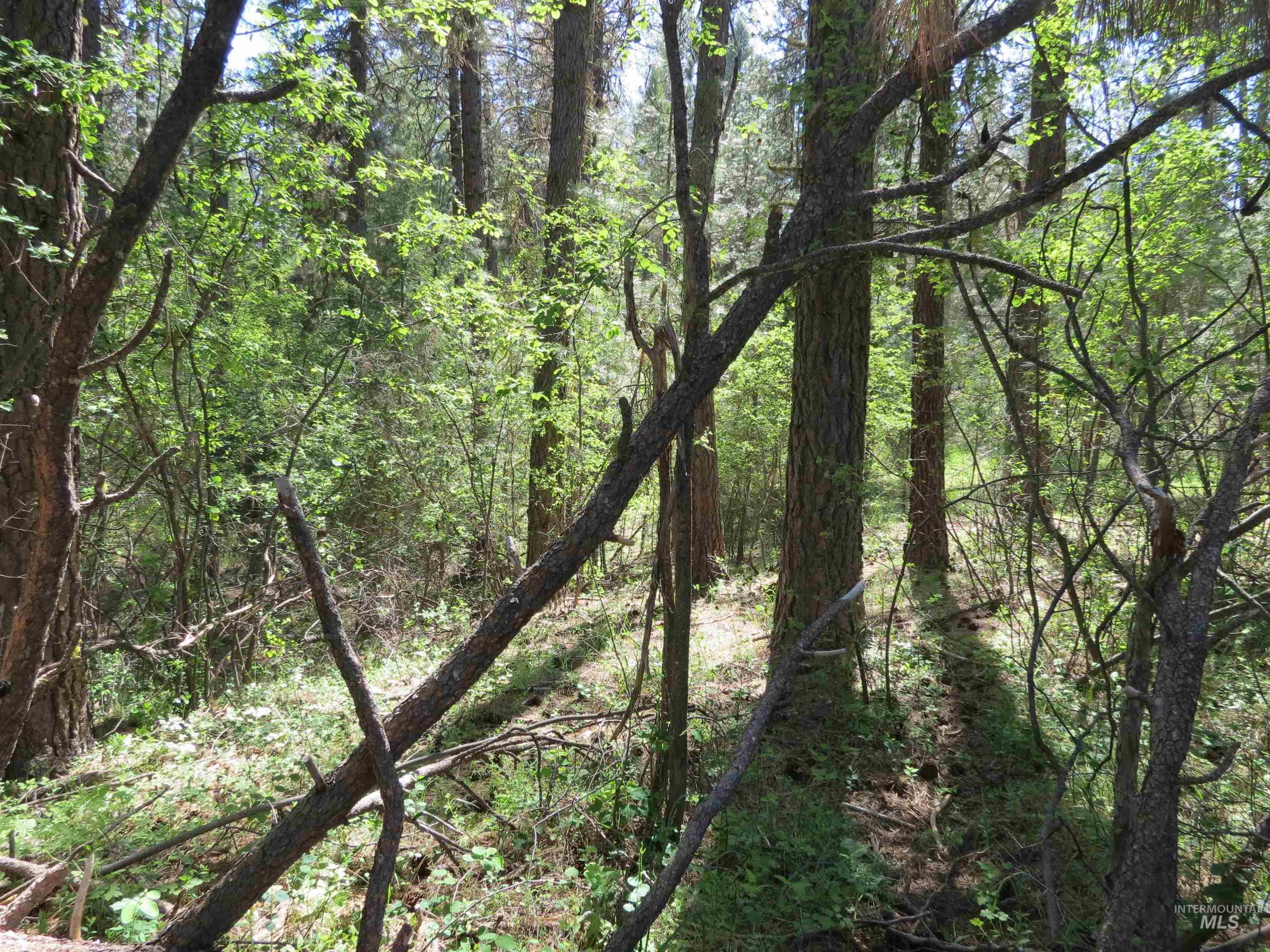 TBD Casey's Rd., Garden Valley, Idaho 83622, Land For Sale, Price $125,000,MLS 98987539