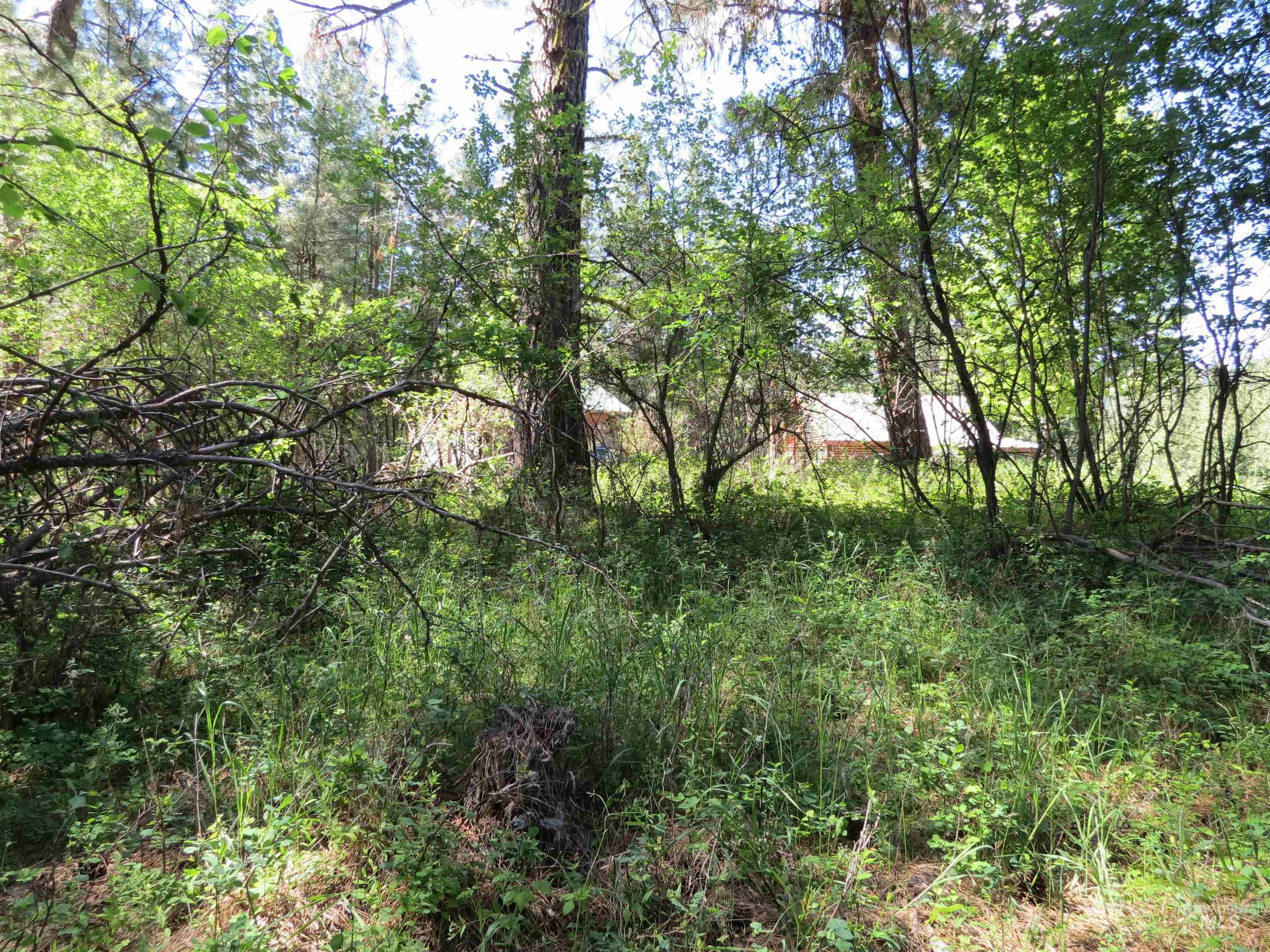 TBD Casey's Rd., Garden Valley, Idaho 83622, Land For Sale, Price $125,000,MLS 98987539