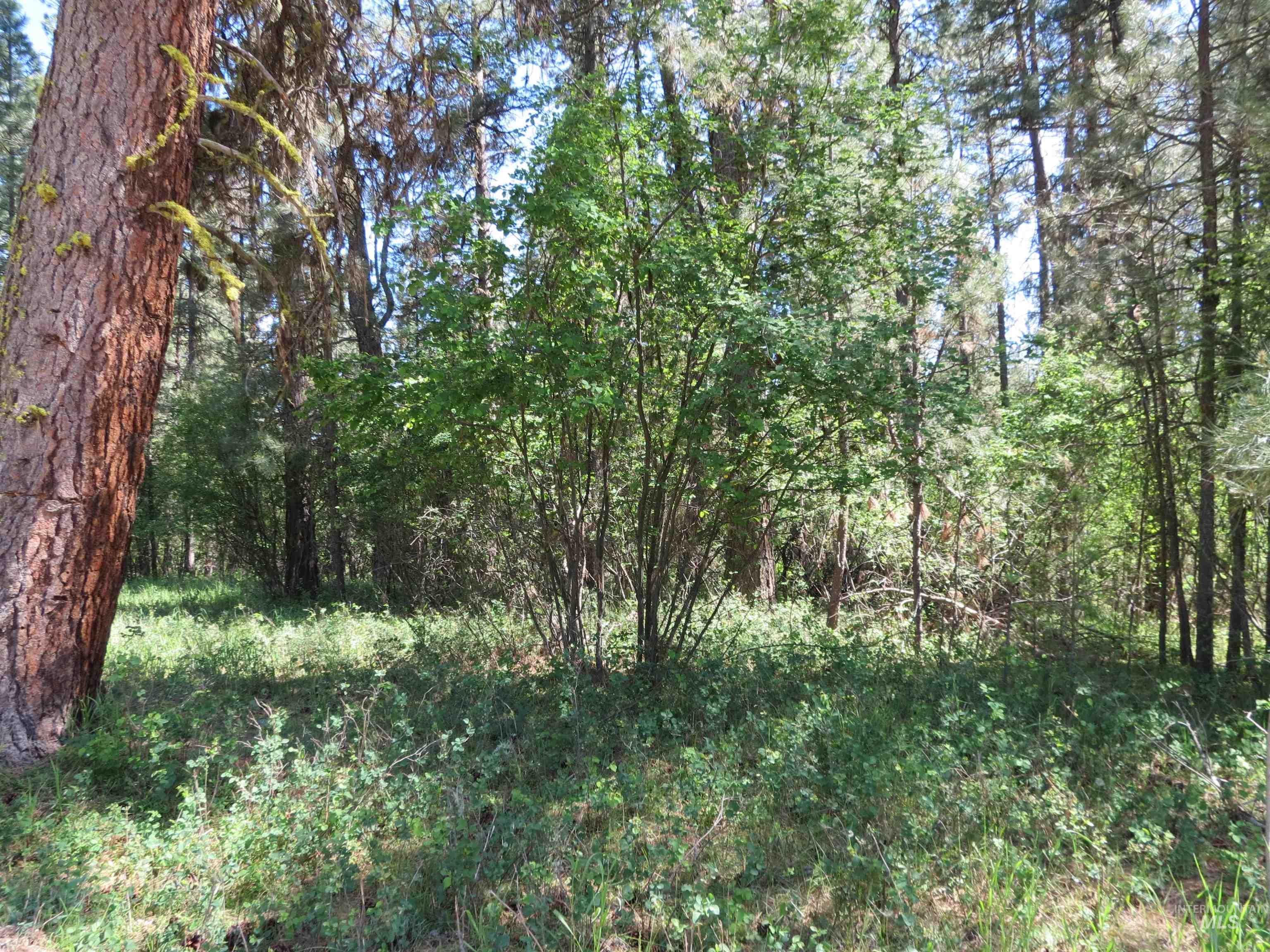 TBD Casey's Rd., Garden Valley, Idaho 83622, Land For Sale, Price $125,000,MLS 98987539