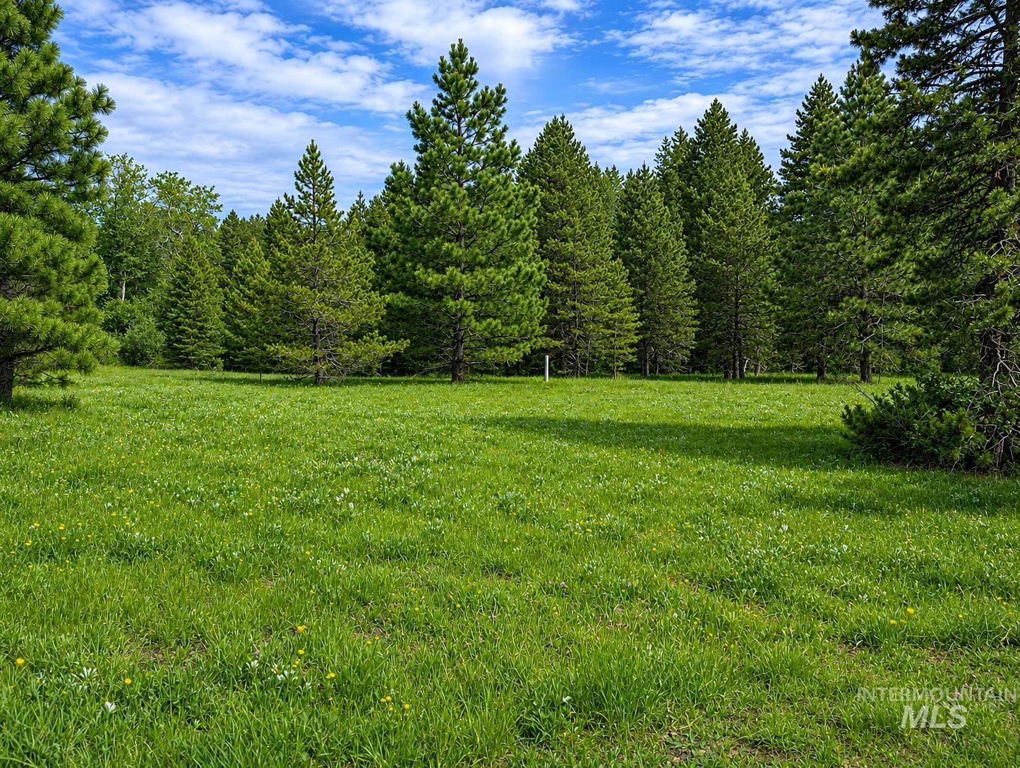 222 Buckcamp Lane, McCall, Idaho 83638, 4 Bedrooms, 3 Bathrooms, Residential For Sale, Price $2,275,000,MLS 98987546