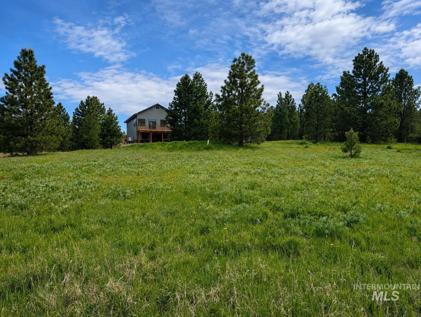 222 Buckcamp Lane, McCall, Idaho 83638, 4 Bedrooms, 3 Bathrooms, Residential For Sale, Price $2,275,000,MLS 98987546