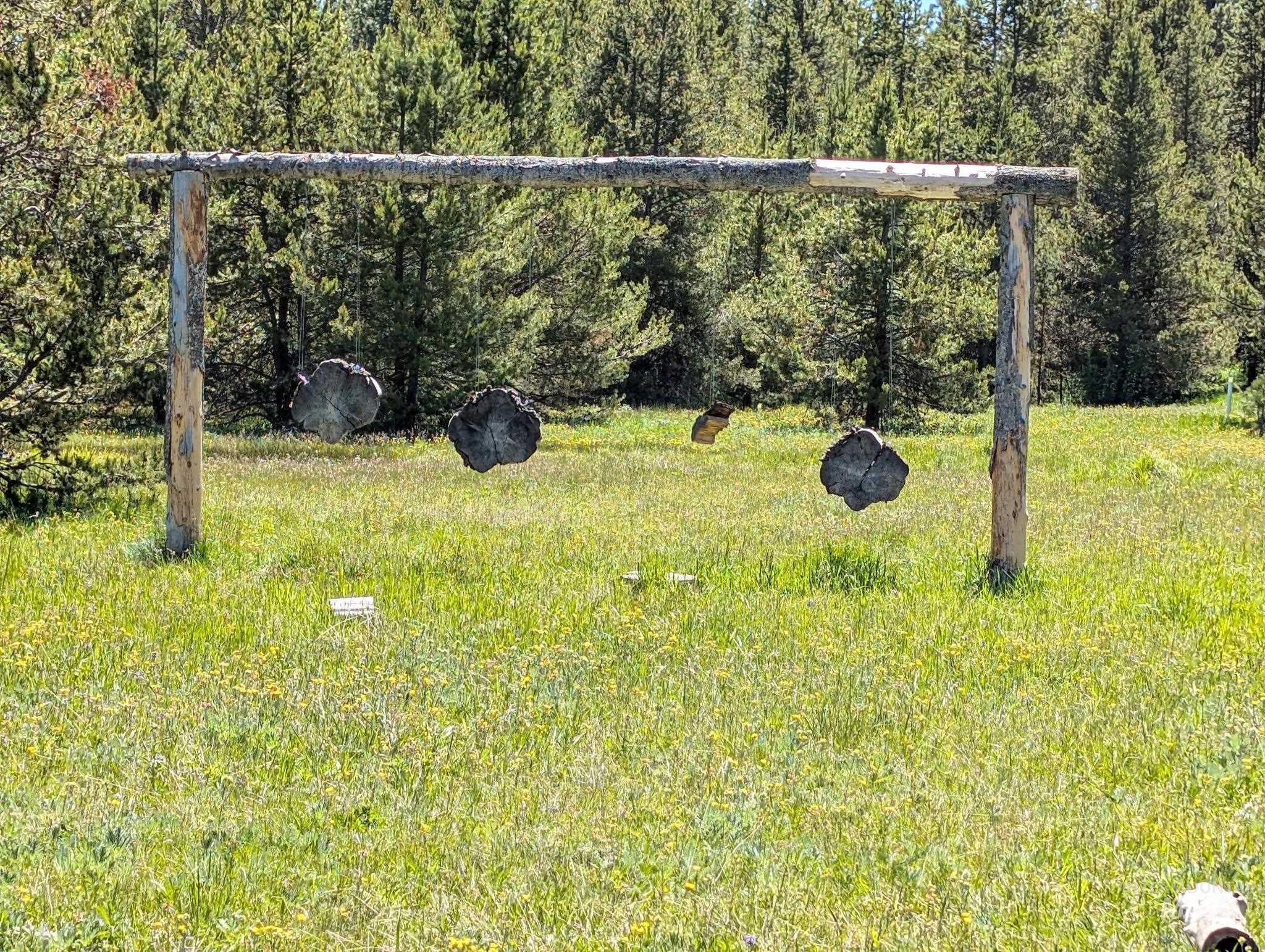 222 Buckcamp Lane, McCall, Idaho 83638, 4 Bedrooms, 3 Bathrooms, Residential For Sale, Price $2,275,000,MLS 98987546