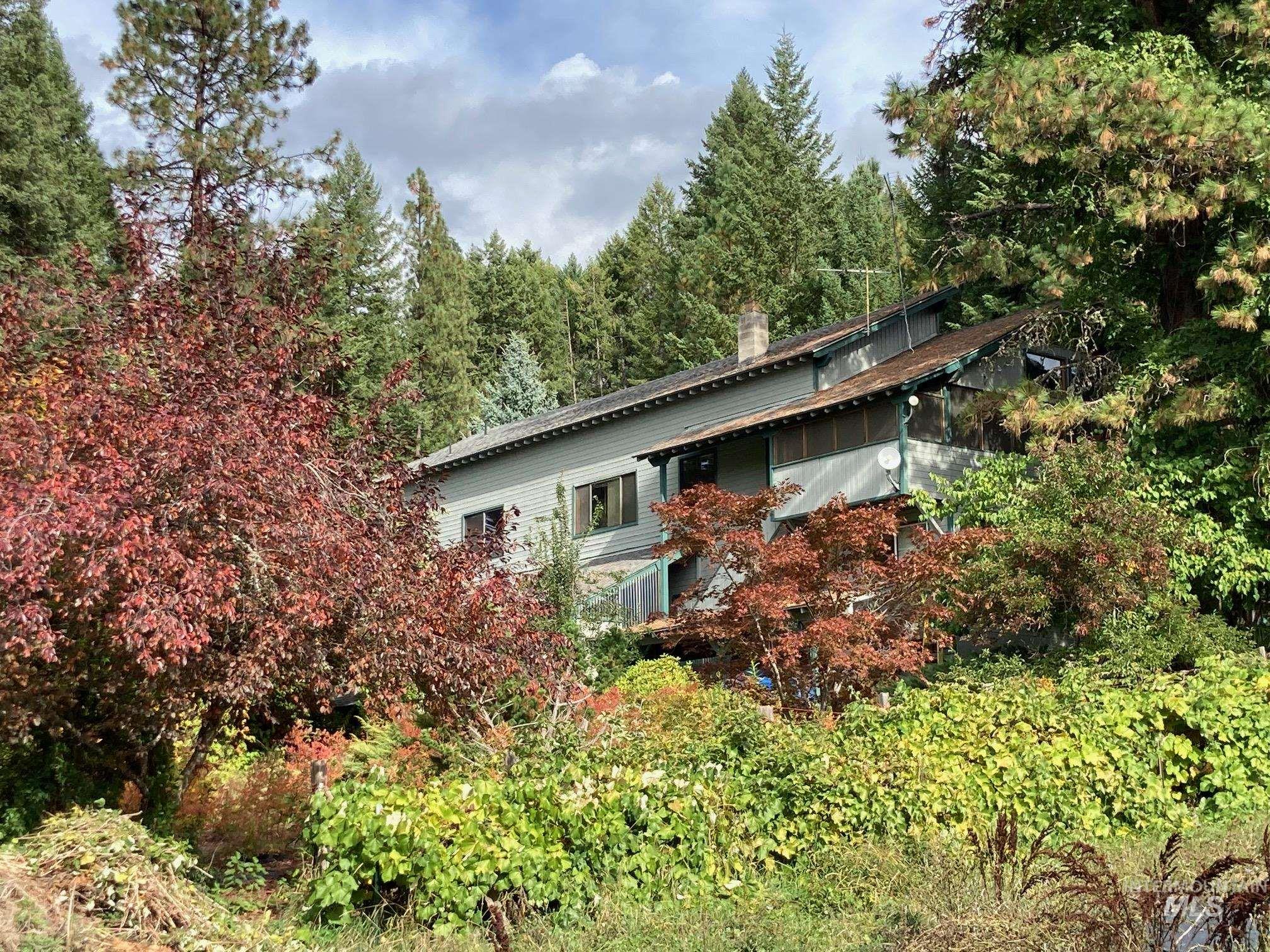 266 Falcon Ridge Rd, Kooskia, Idaho 83539, 5 Bedrooms, 3 Bathrooms, Residential For Sale, Price $949,000,MLS 98987552