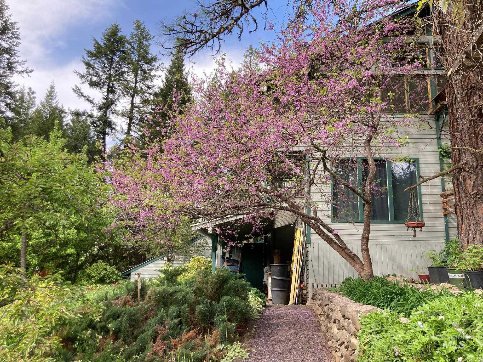 266 Falcon Ridge Rd, Kooskia, Idaho 83539, 5 Bedrooms, 3 Bathrooms, Residential For Sale, Price $949,000,MLS 98987552