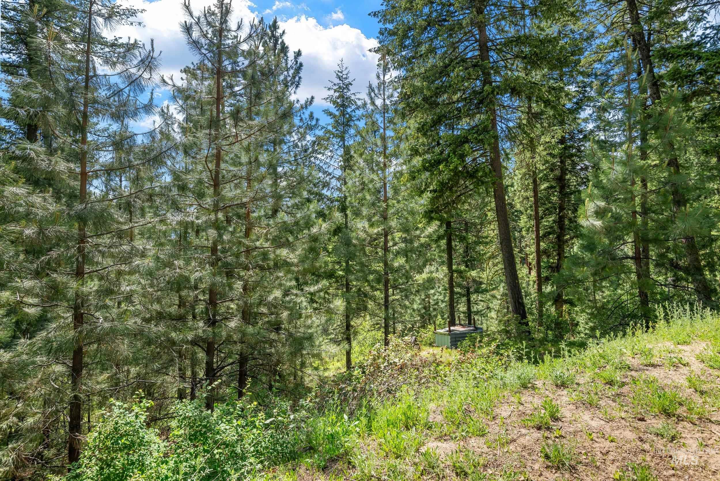 118 Spanish Loop, Idaho City, Idaho 83631, Land For Sale, Price $200,000, 98987594