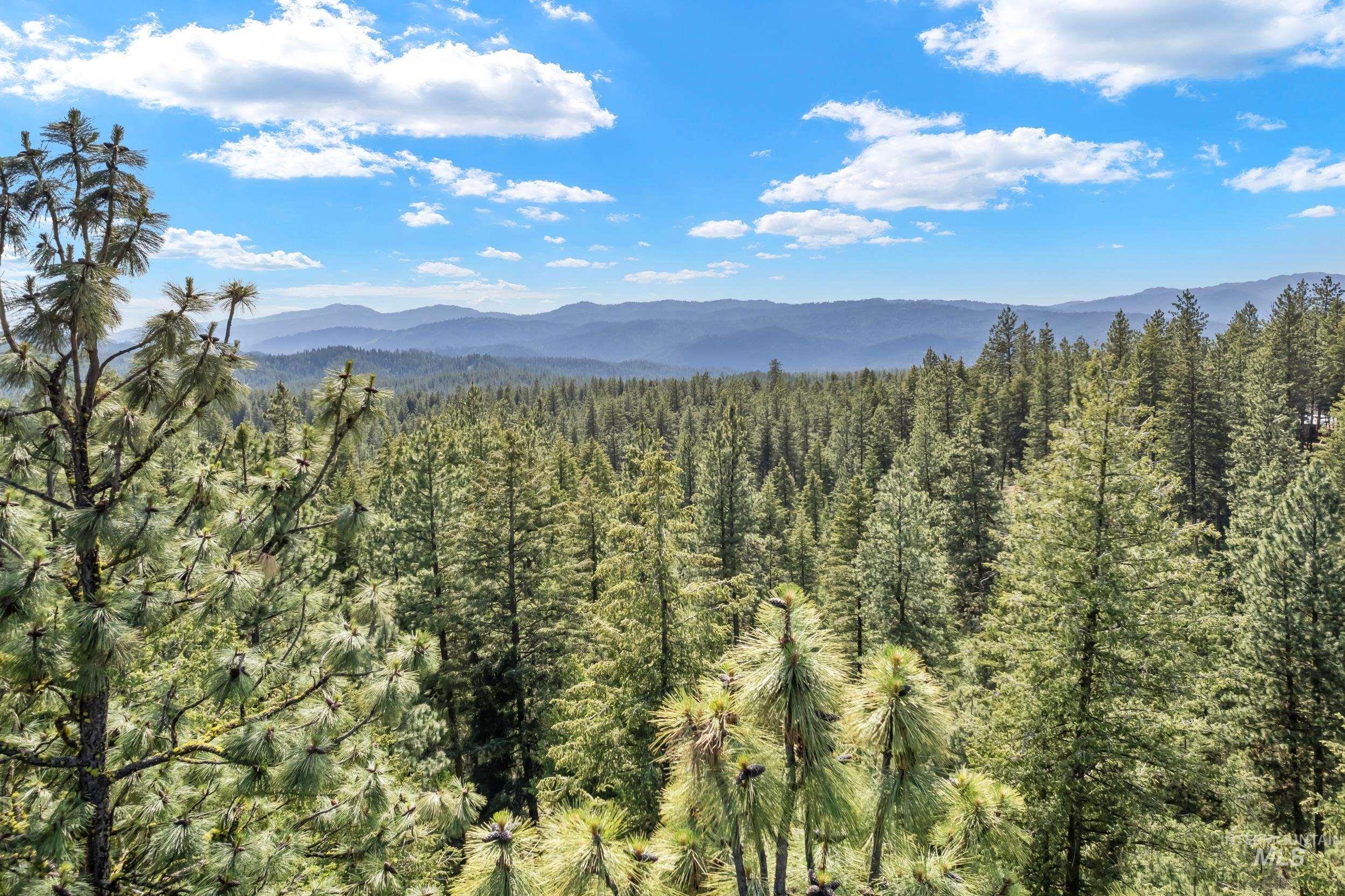 118 Spanish Loop, Idaho City, Idaho 83631, Land For Sale, Price $200,000, 98987594