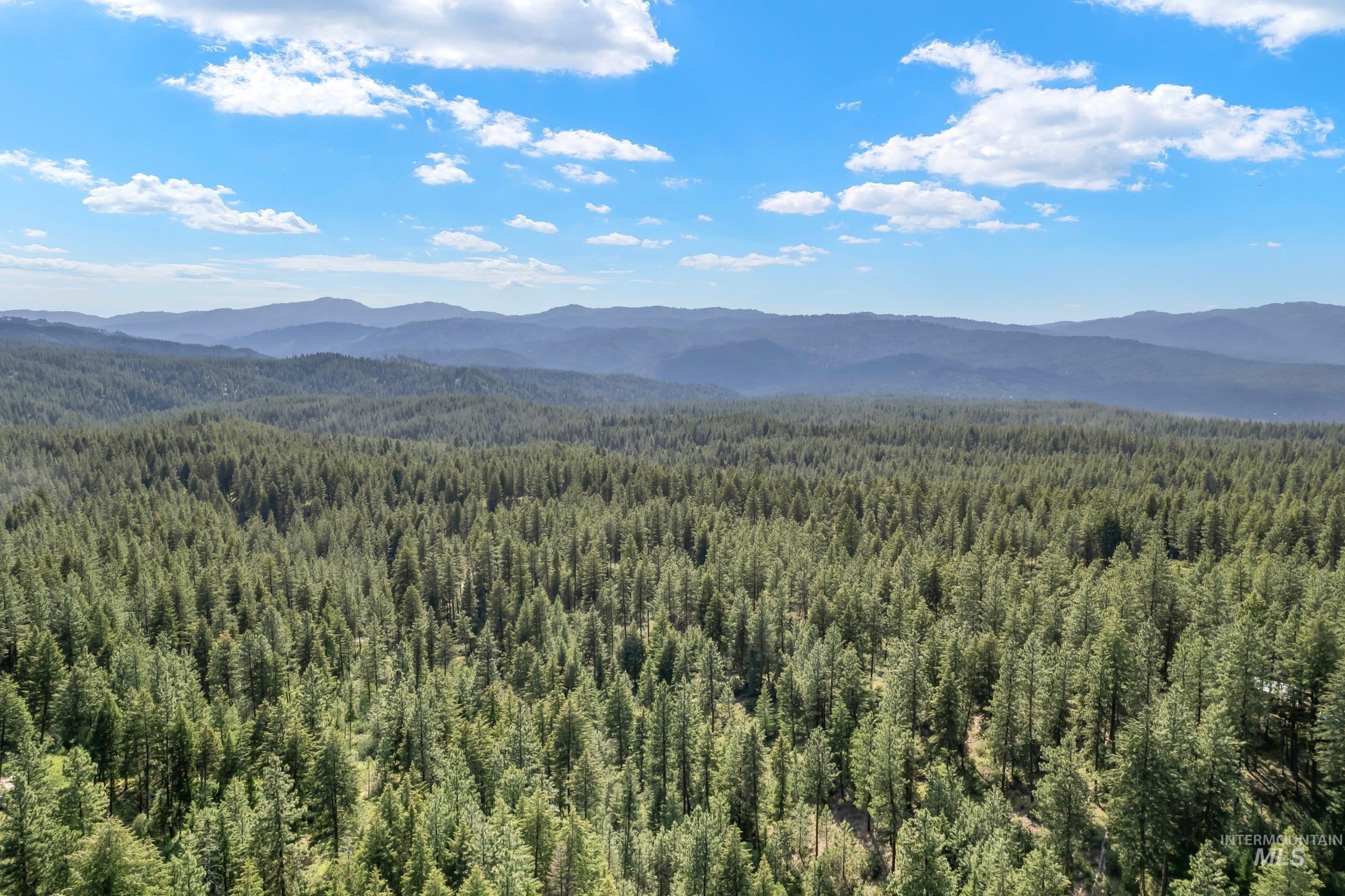 118 Spanish Loop, Idaho City, Idaho 83631, Land For Sale, Price $200,000, 98987594