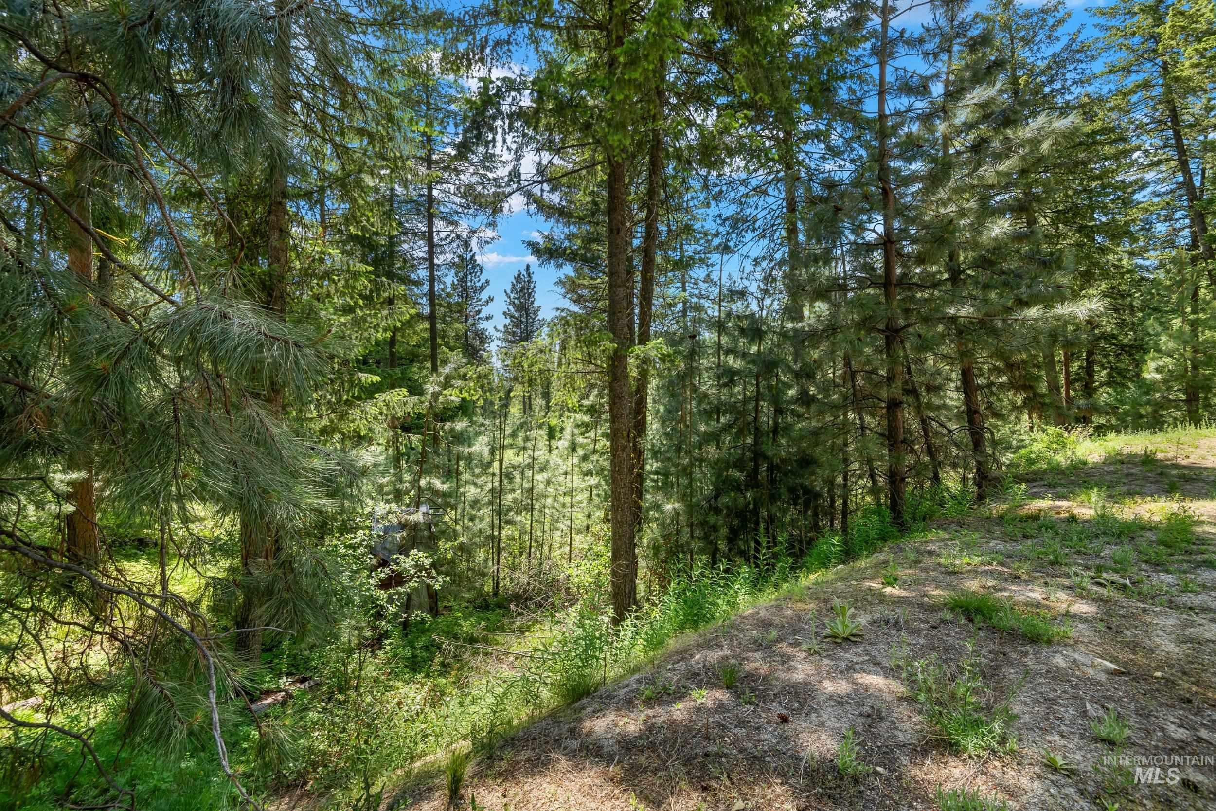 118 Spanish Loop, Idaho City, Idaho 83631, Land For Sale, Price $200,000, 98987594