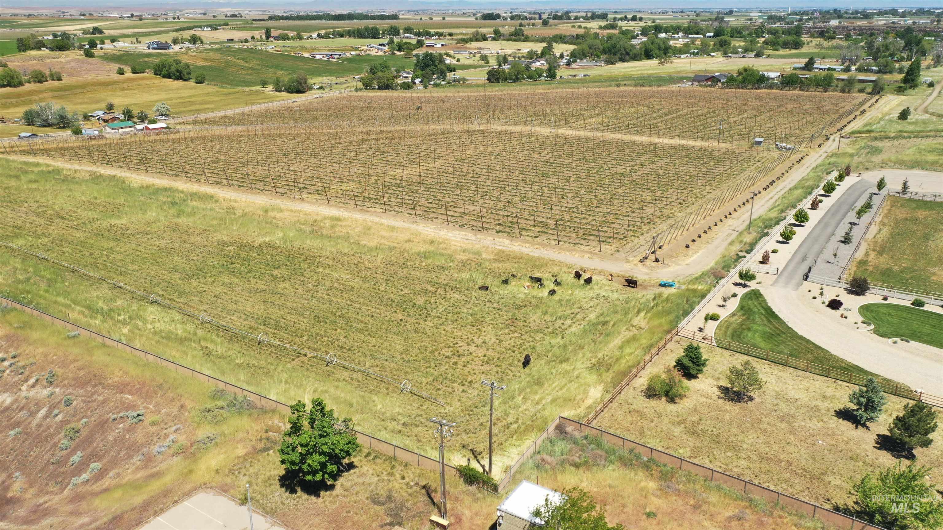 28745 Peckham Road, Wilder, Idaho 83676, Land For Sale, Price $699,000, 98987596