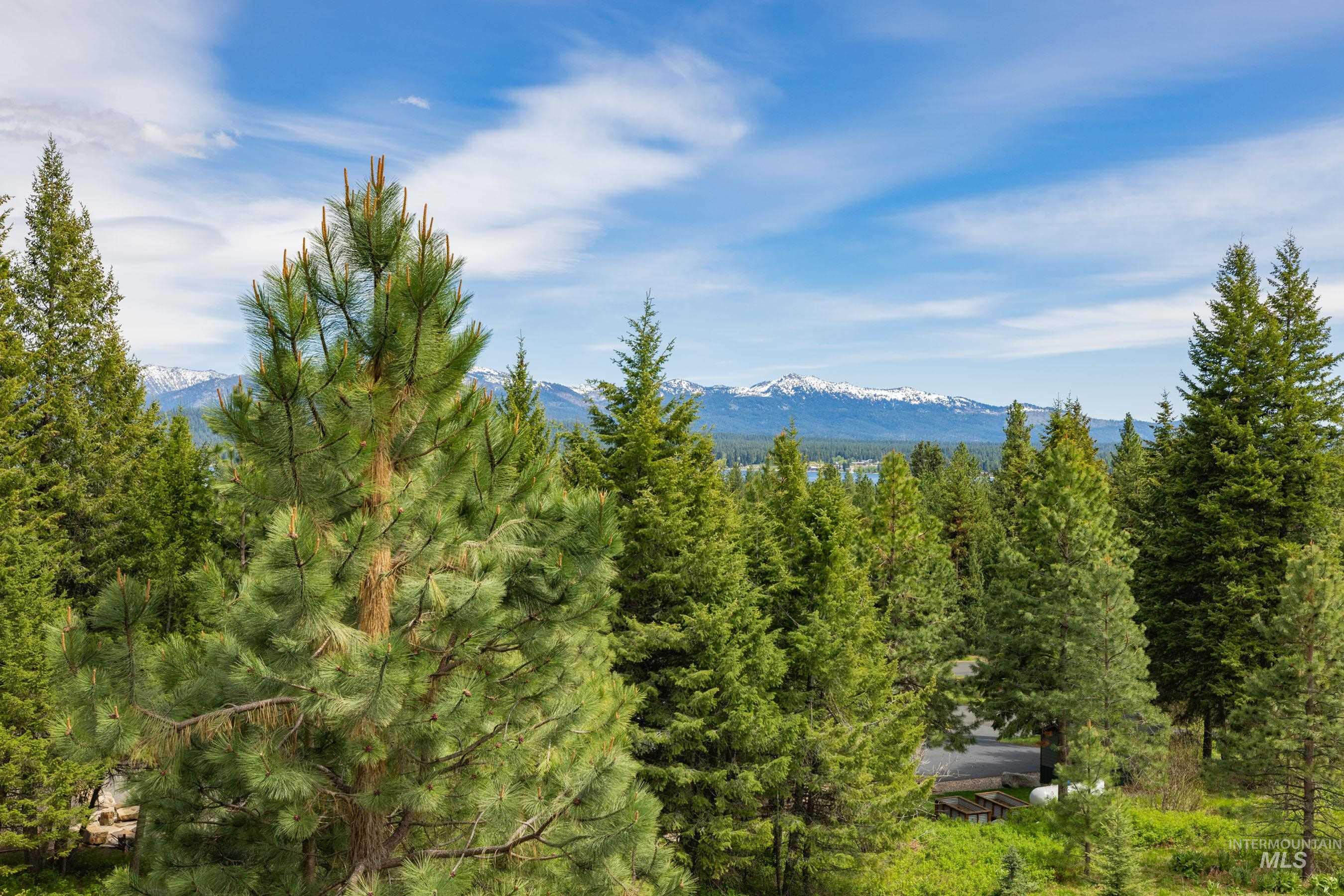 1642 Lakeridge Drive, McCall, Idaho 83638, 4 Bedrooms, 4 Bathrooms, Residential For Sale, Price $2,500,000, 98987599