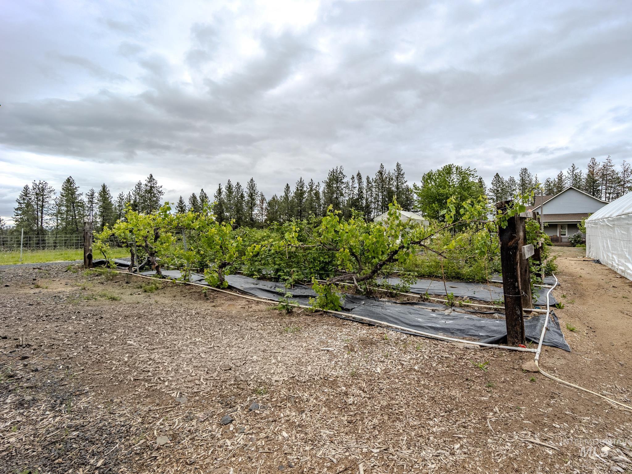 794 Pleasant Valley Rd, Clearwater, Idaho 83552, 3 Bedrooms, 3 Bathrooms, Residential For Sale, Price $1,700,000, 98987609