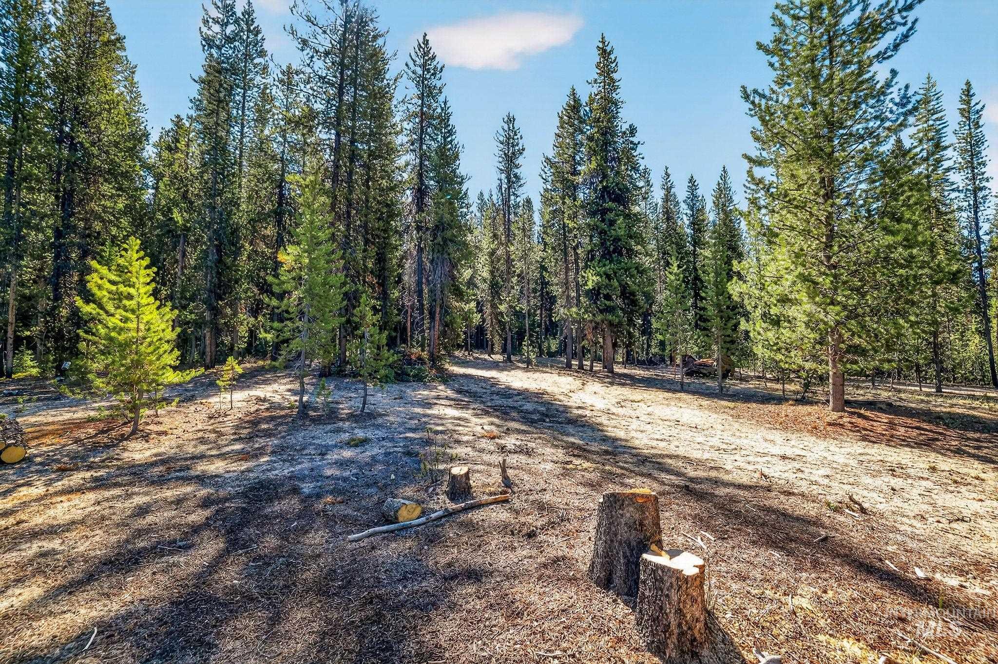 321 Secesh River Road, Secesh, Idaho 83638, 2 Bedrooms, 2.5 Bathrooms, Residential For Sale, Price $839,000, 98987639