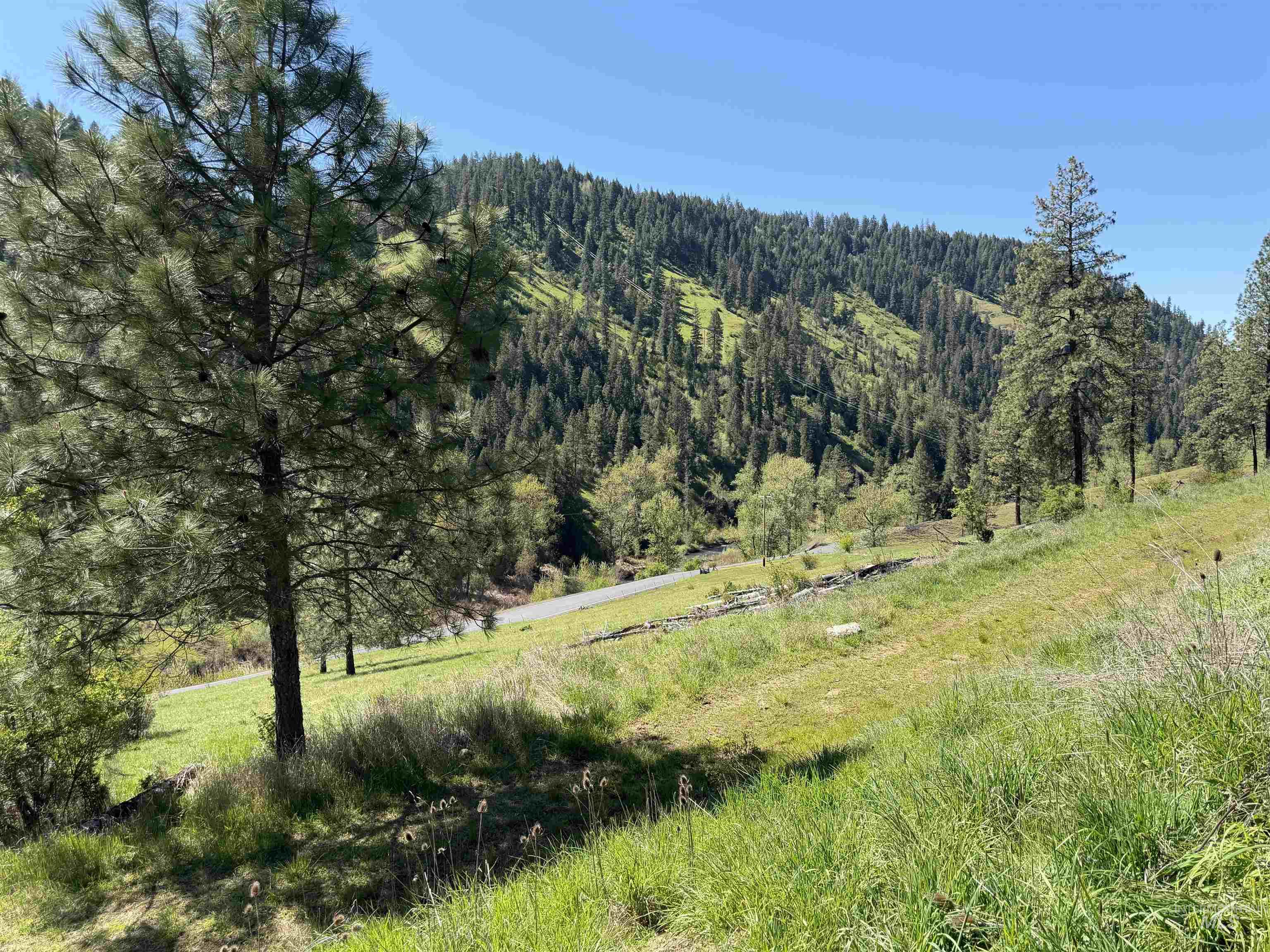 624 Clear Creek Road, Kooskia, Idaho 83539, 4 Bedrooms, 1.5 Bathrooms, Residential For Sale, Price $345,000, 98987641