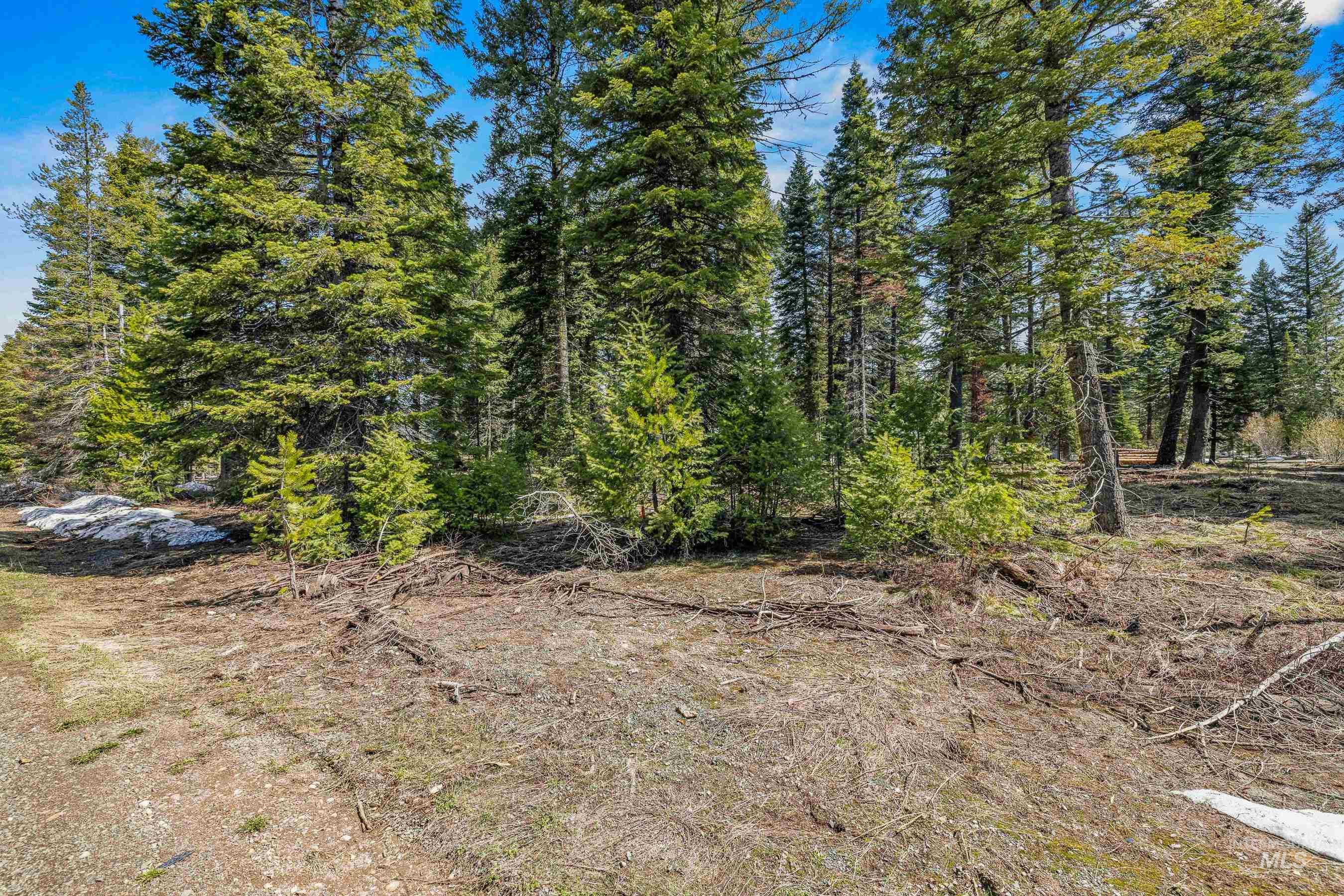 2144 Christie Road, Donnelly, Idaho 83615, Land For Sale, Price $375,000, 98987671