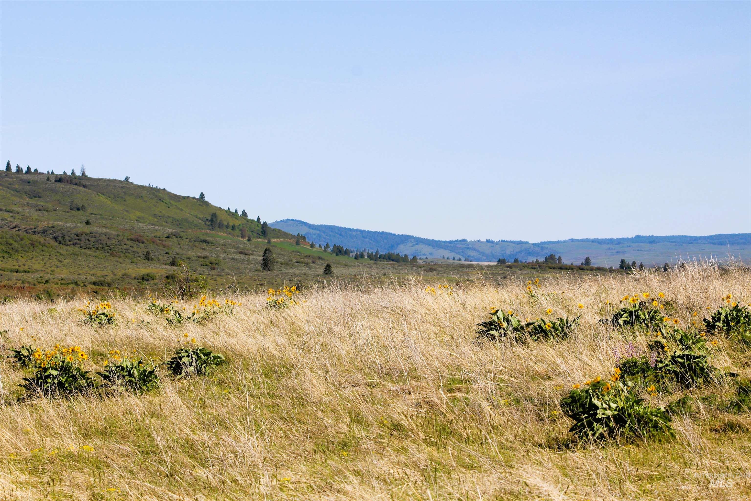 TBD Trail Lane, Council, Idaho 83612, Land For Sale, Price $165,000, 98987693