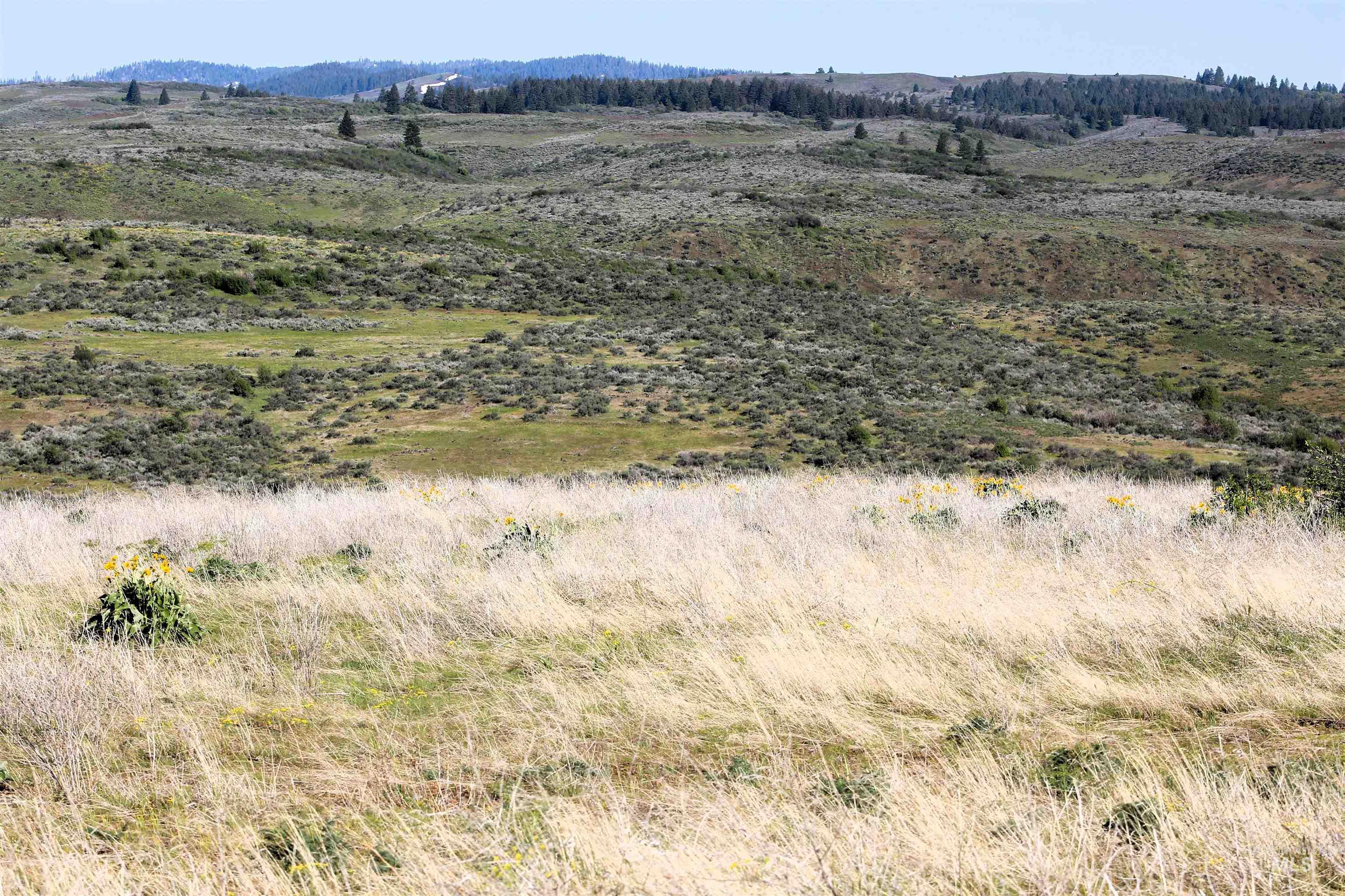 TBD Trail Lane, Council, Idaho 83612, Land For Sale, Price $165,000, 98987693