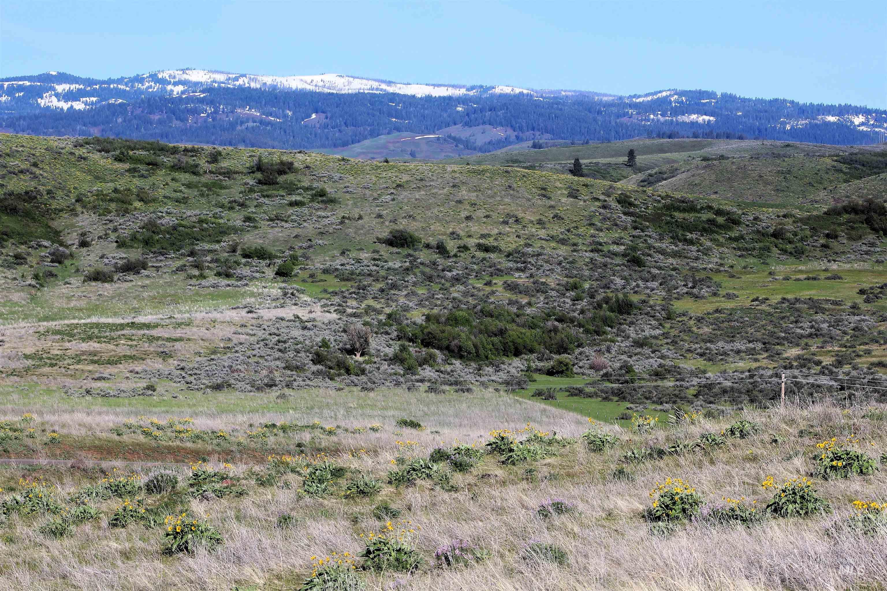 TBD Trail Lane, Council, Idaho 83612, Land For Sale, Price $165,000, 98987693