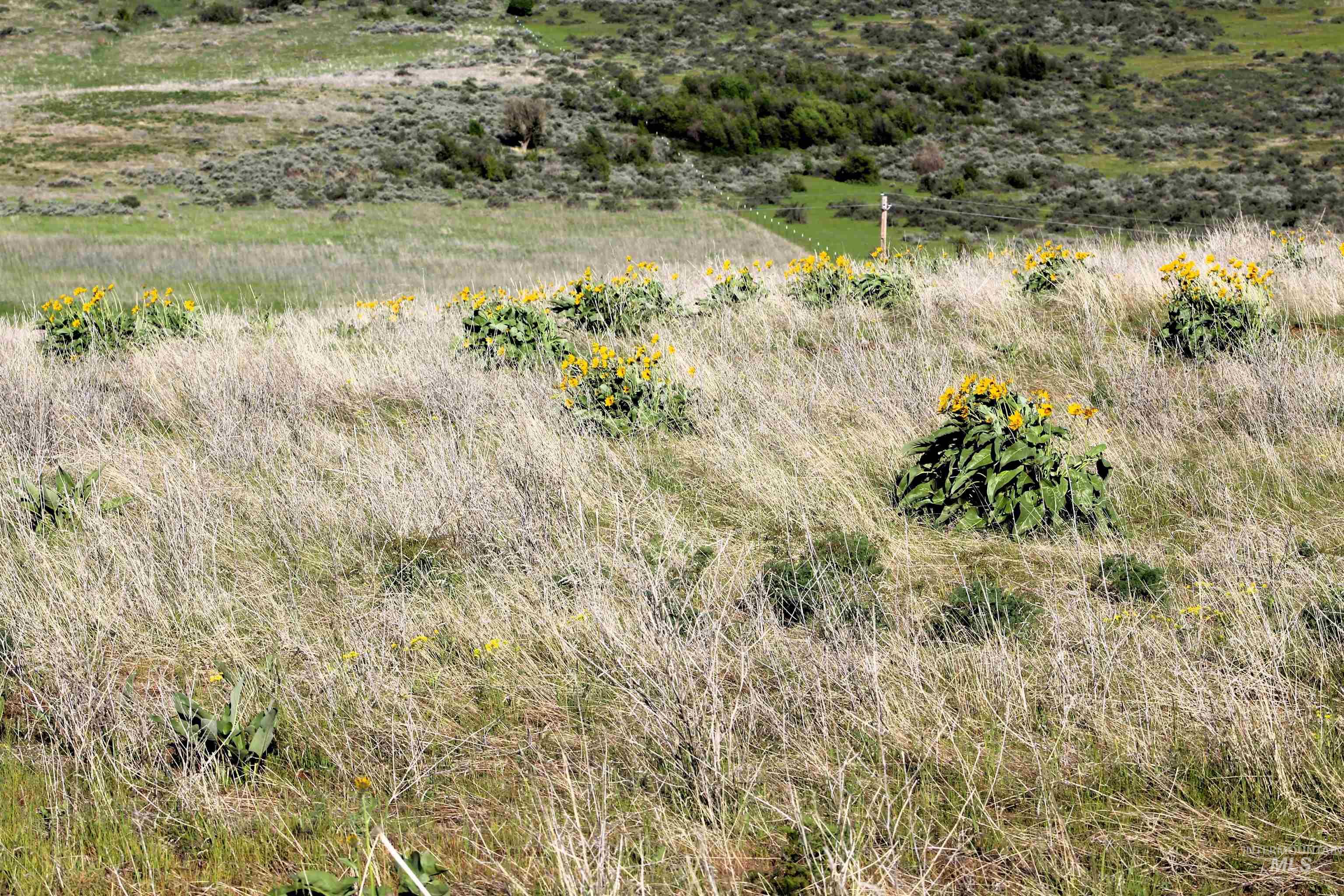 TBD Trail Lane, Council, Idaho 83612, Land For Sale, Price $165,000, 98987693