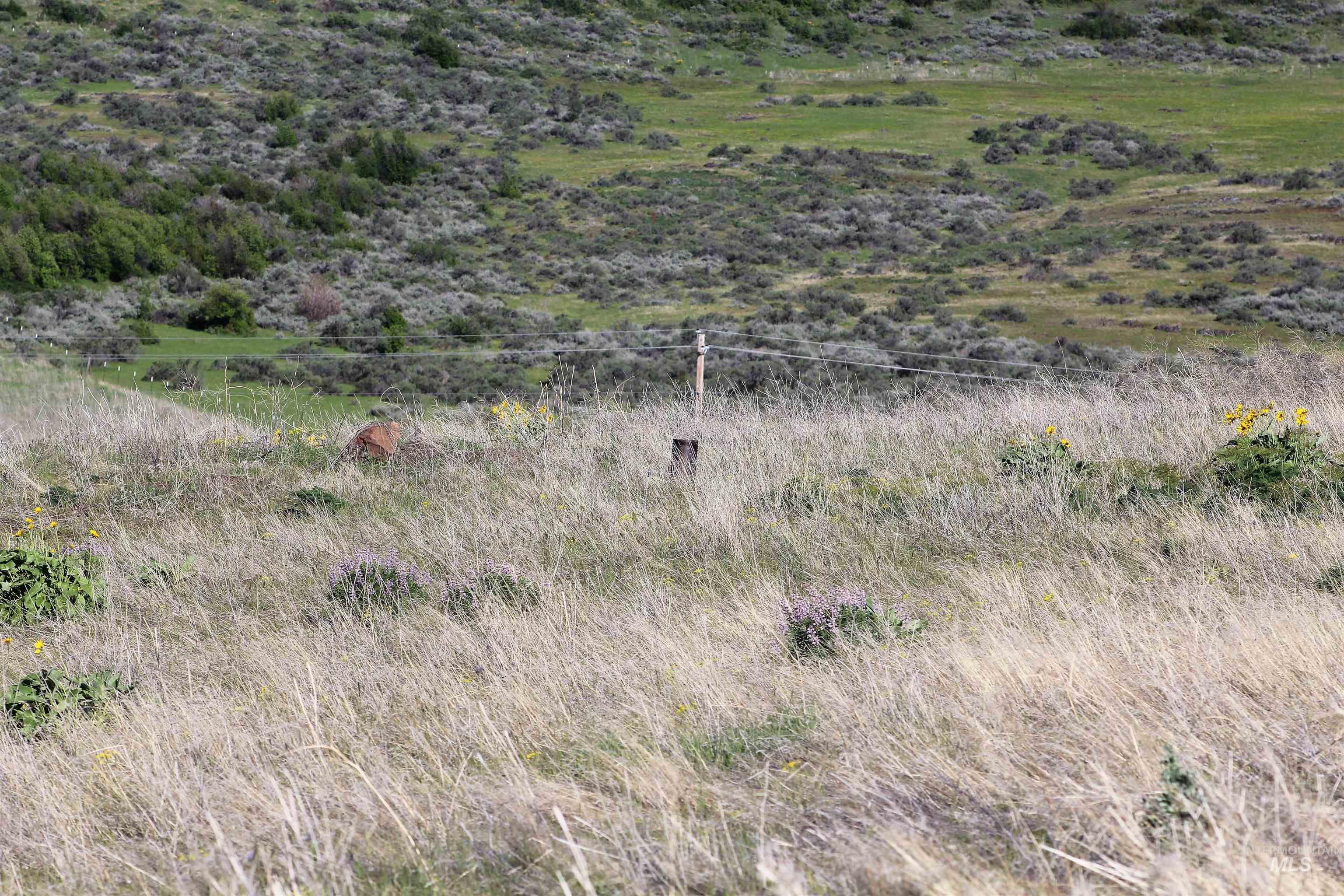 TBD Trail Lane, Council, Idaho 83612, Land For Sale, Price $165,000, 98987693