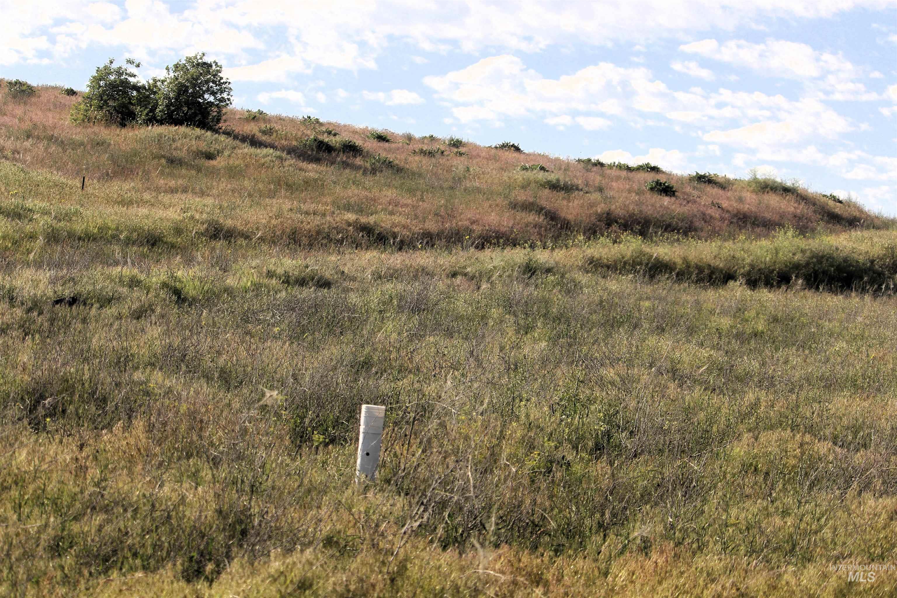 TBD Trail Lane, Council, Idaho 83612, Land For Sale, Price $165,000, 98987693