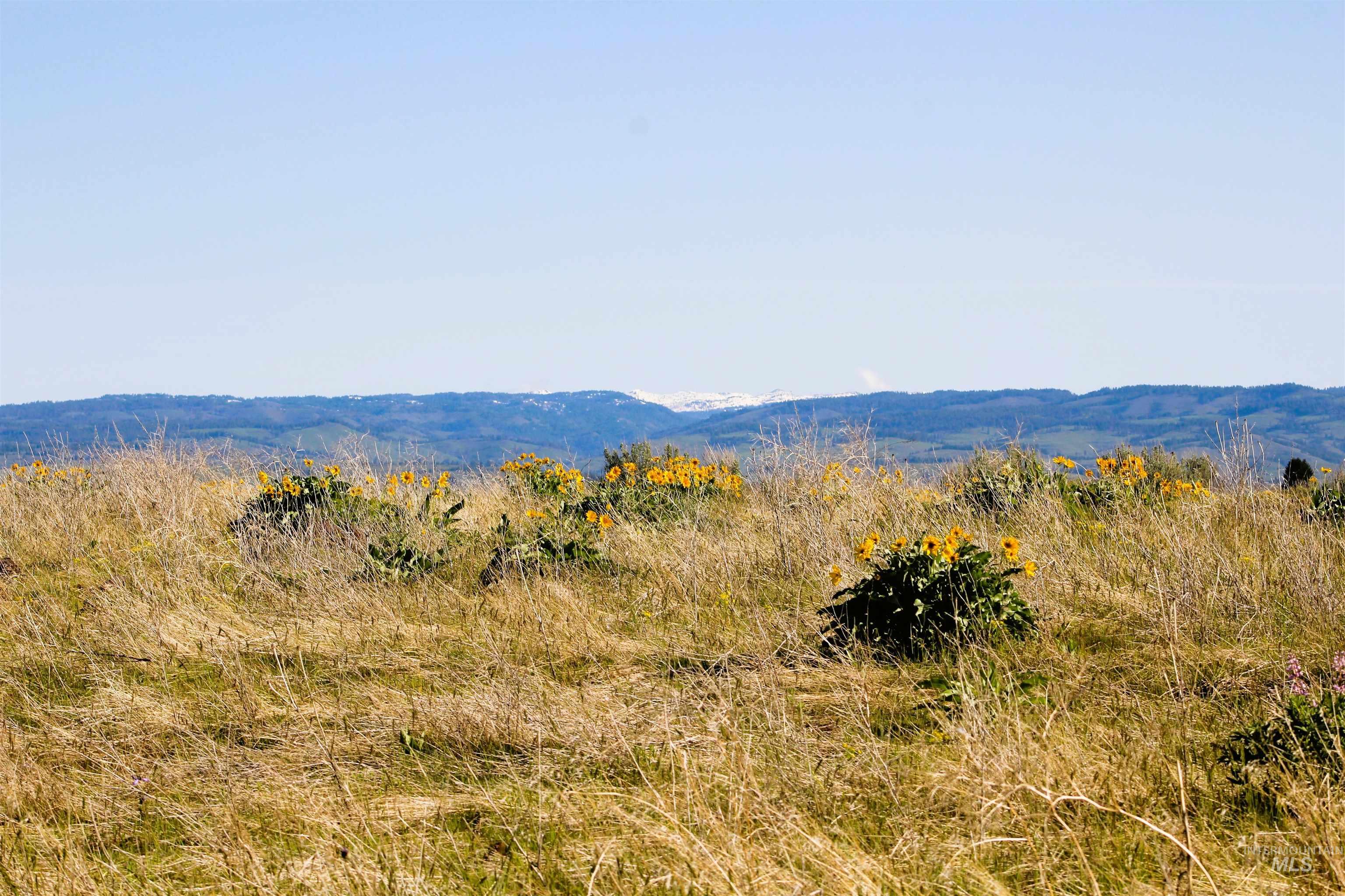 TBD Trail Lane, Council, Idaho 83612, Land For Sale, Price $165,000, 98987693