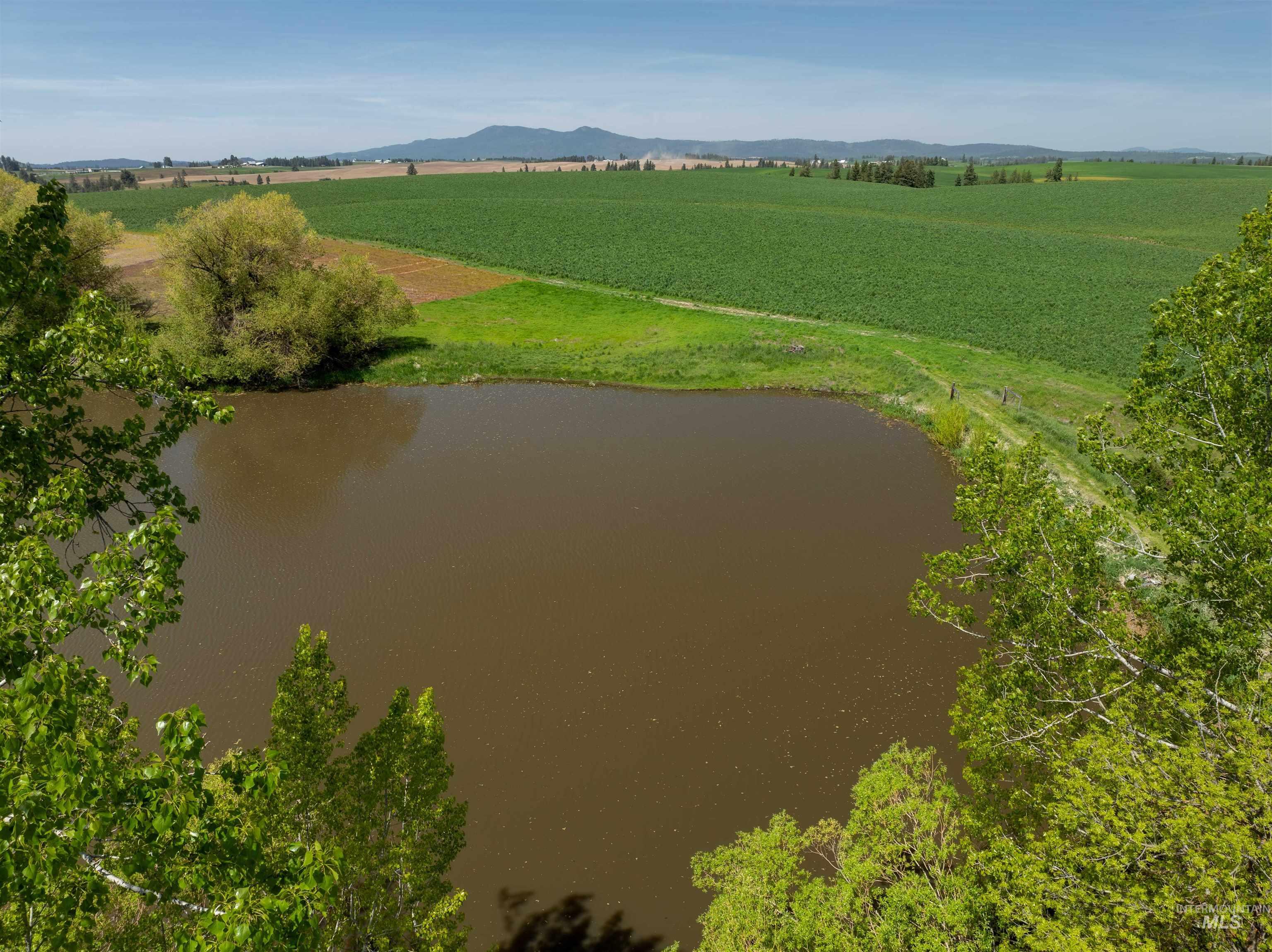 1611 Little Bear Ridge Rd., Troy, Idaho 83871, Business/Commercial For Sale, Price $1,700,000, 98987714