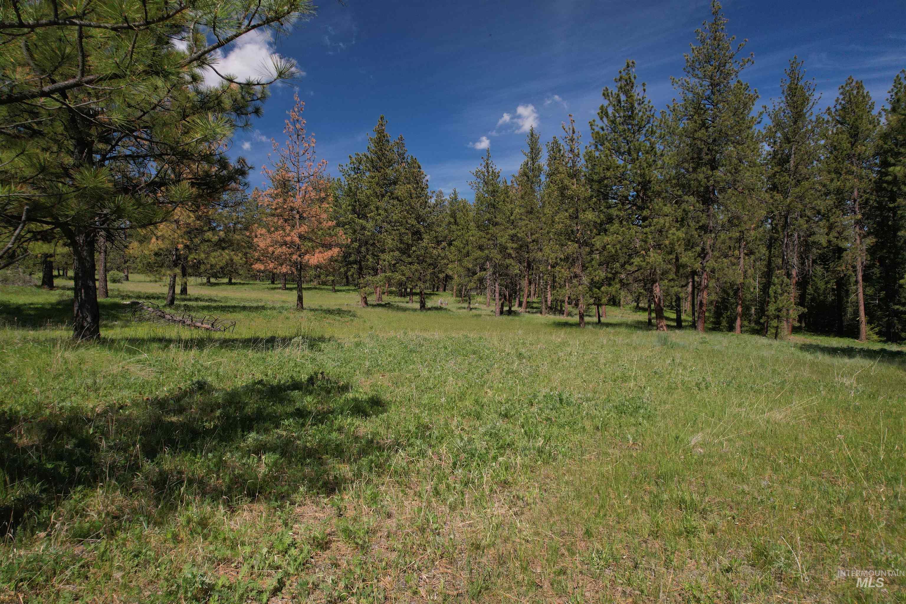 NKA Cloverland Road, Asotin, Washington 99402, Land For Sale, Price $120,000, 98987853