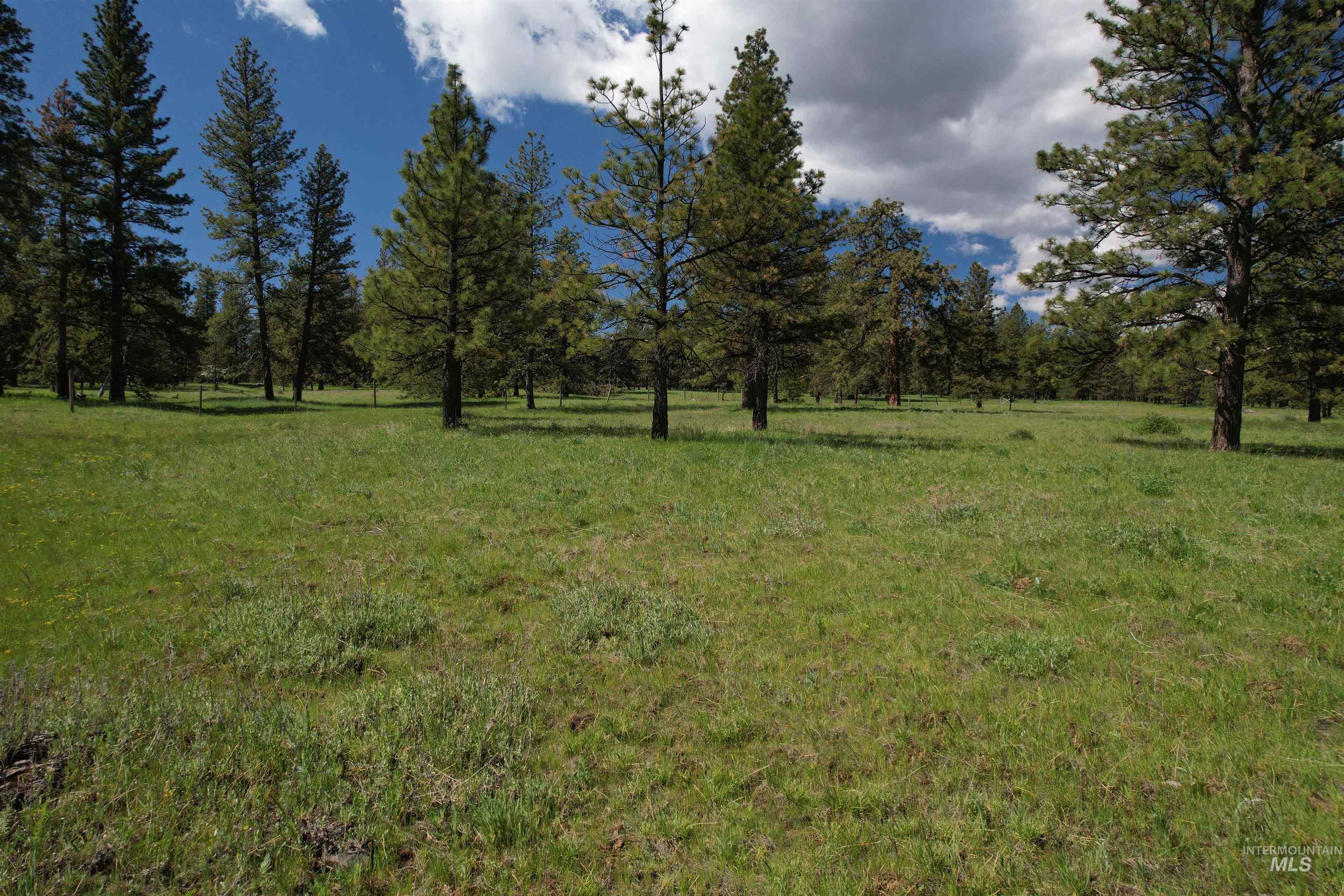 NKA Cloverland Road, Asotin, Washington 99402, Land For Sale, Price $120,000, 98987853