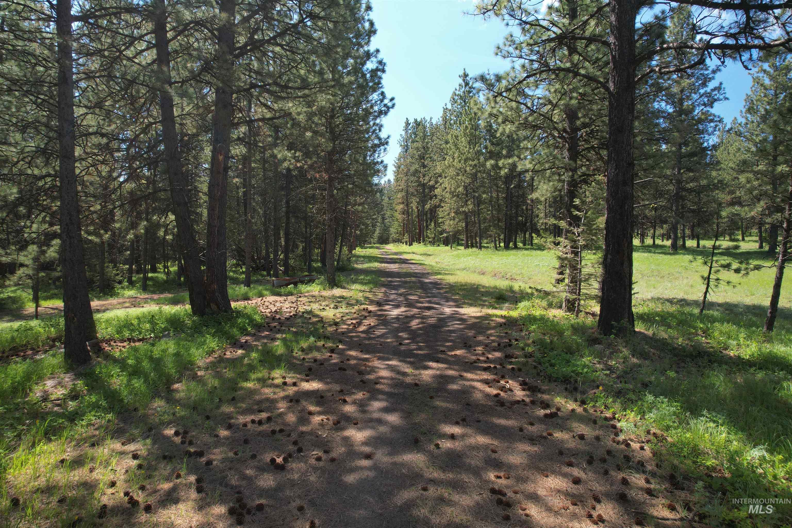 NKA Cloverland Road, Asotin, Washington 99402, Land For Sale, Price $120,000, 98987853