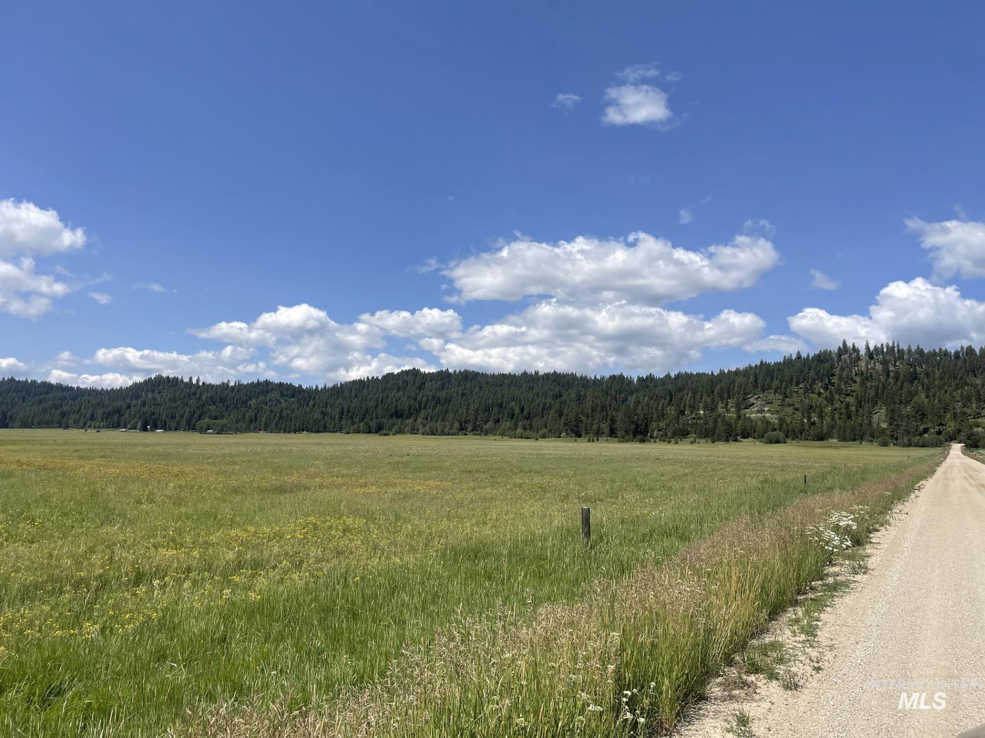 163.21 AC Gray Lane, Cascade, Idaho 83611, Land For Sale, Price $649,900,MLS 98987862