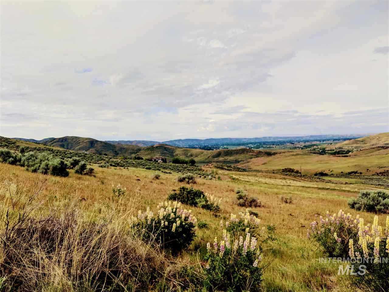 40 ac P-8 Spur lane, Emmett, Idaho 83617, Land For Sale, Price $412,000, 98987867