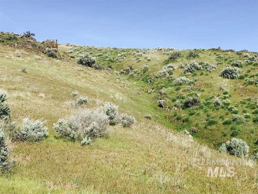 40 ac P-8 Spur lane, Emmett, Idaho 83617, Land For Sale, Price $412,000, 98987867