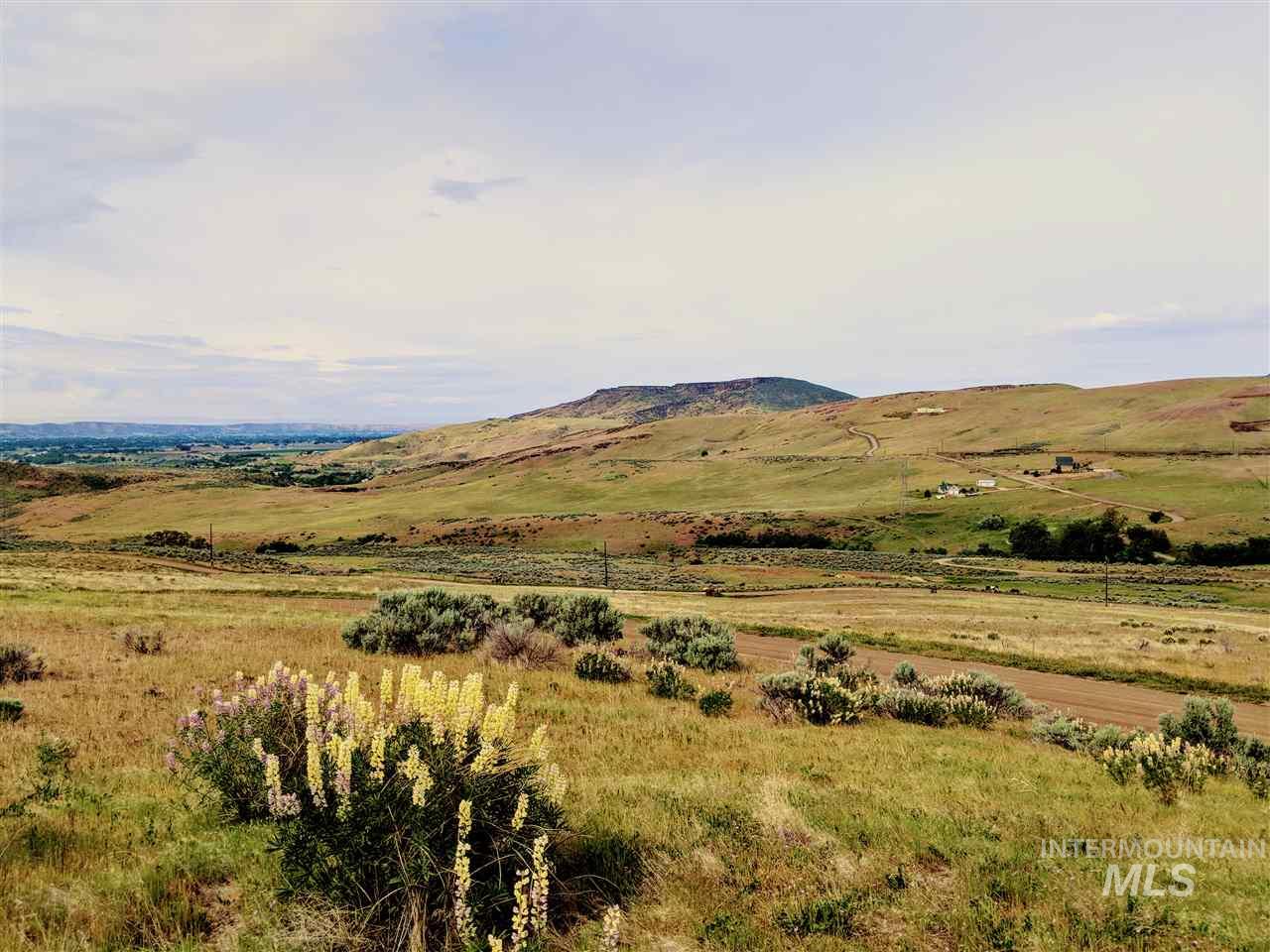 40 ac P-8 Spur lane, Emmett, Idaho 83617, Land For Sale, Price $412,000, 98987867