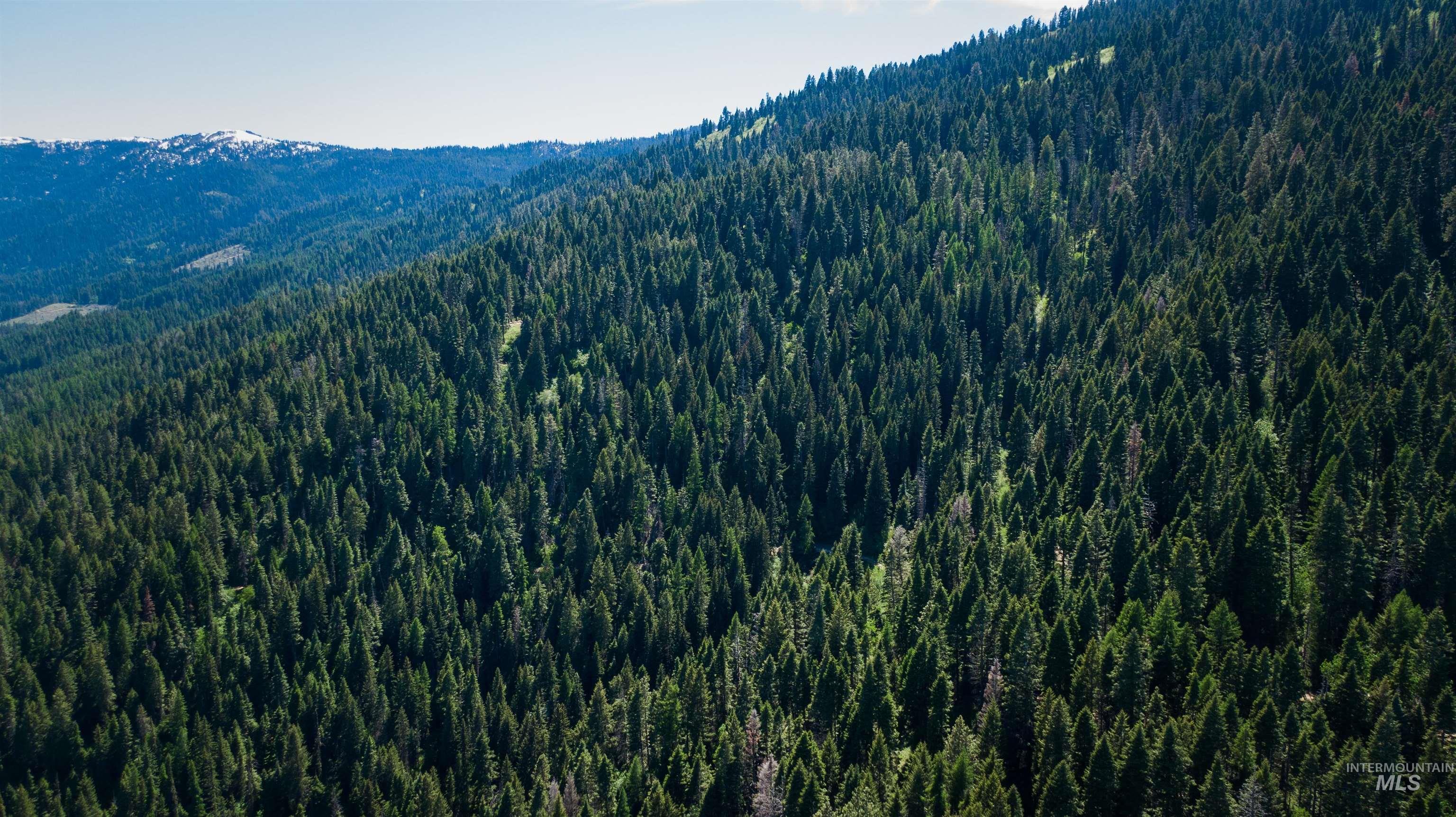 TBD Burnt Wagon Trail, Cascade, Idaho 83611, Land For Sale, Price $69,900, 98987877