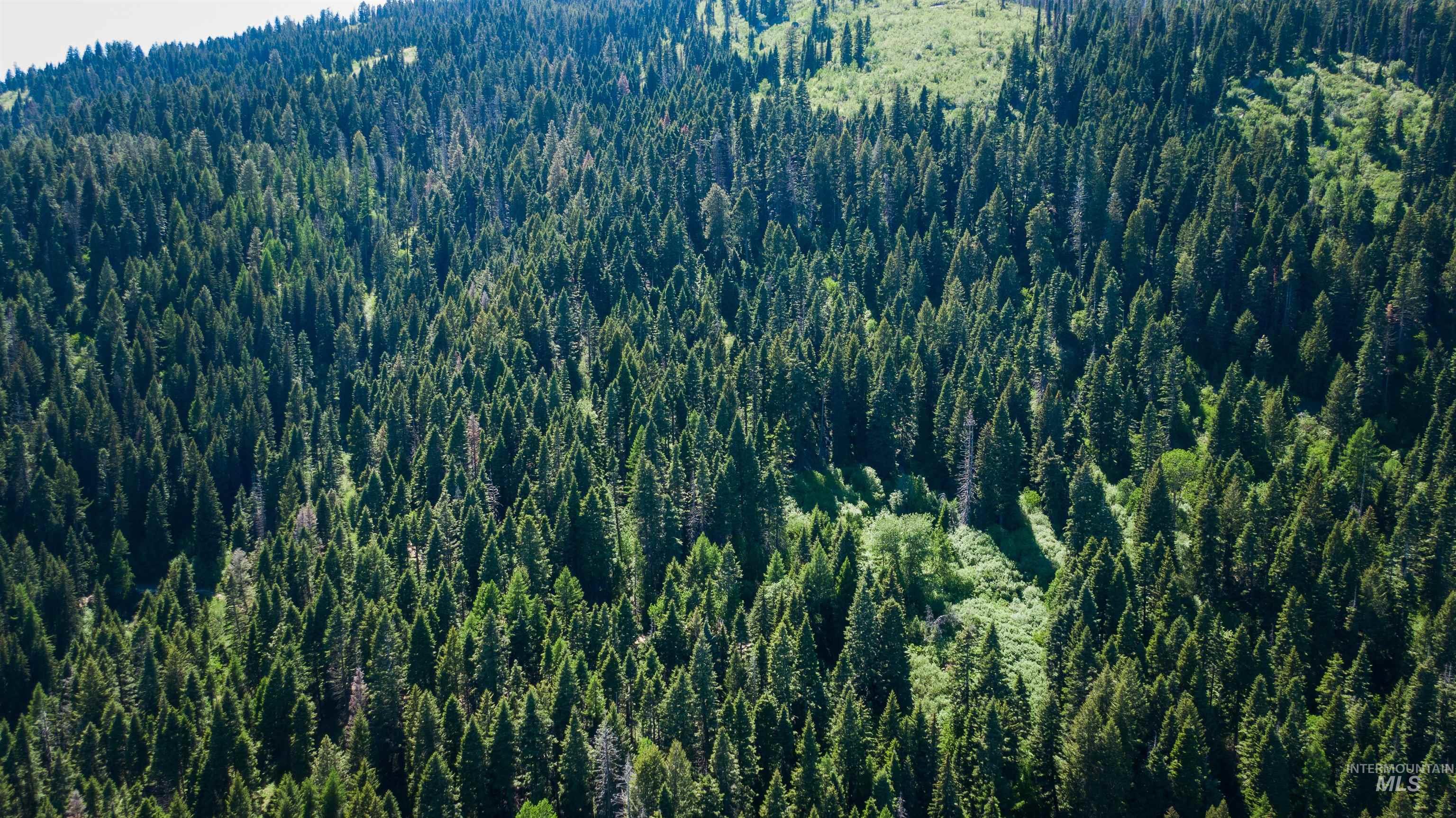 TBD Burnt Wagon Trail, Cascade, Idaho 83611, Land For Sale, Price $69,900, 98987877