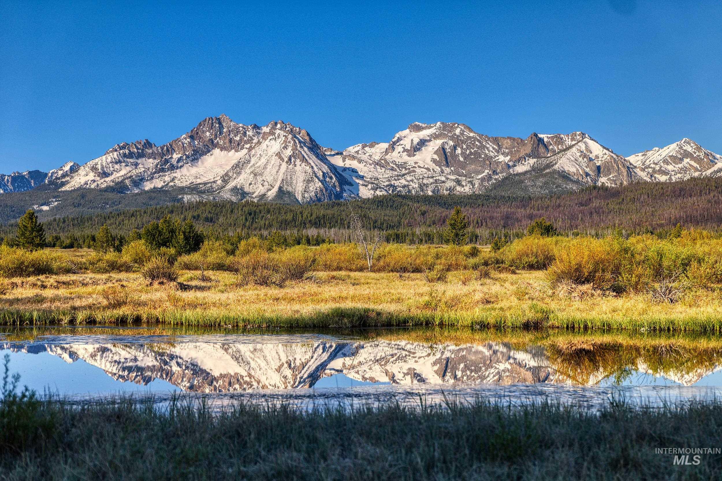1000 Nip N Tuck Rd, Stanley, Idaho 83278, 4 Bedrooms, 3.5 Bathrooms, Farm & Ranch For Sale, Price $6,500,000, 98987891