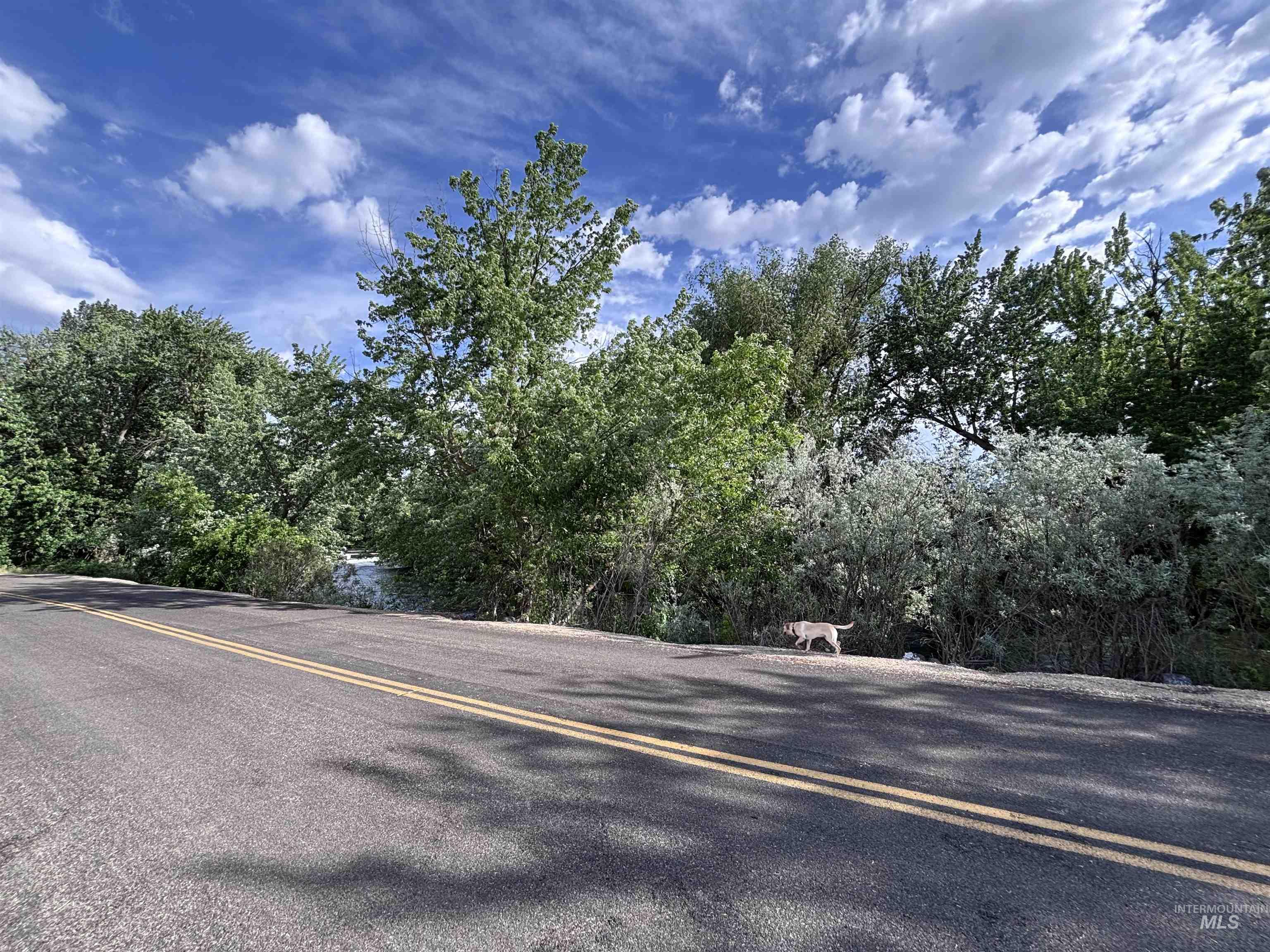2152 Artesian Rd, Eagle, Idaho 83616, 3 Bedrooms, 2 Bathrooms, Residential For Sale, Price $499,990, 98988027